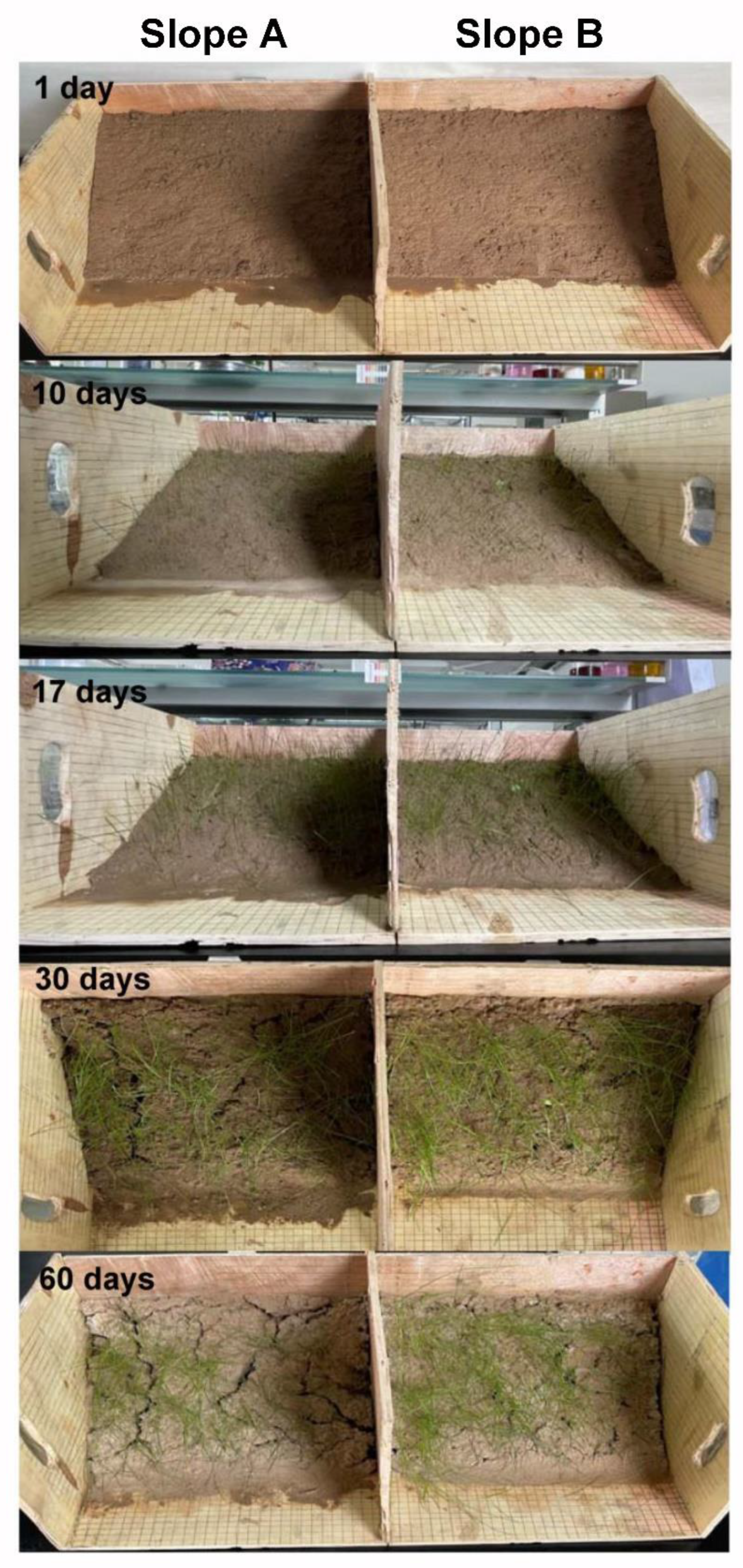 Polymers 14 01461 g013 550