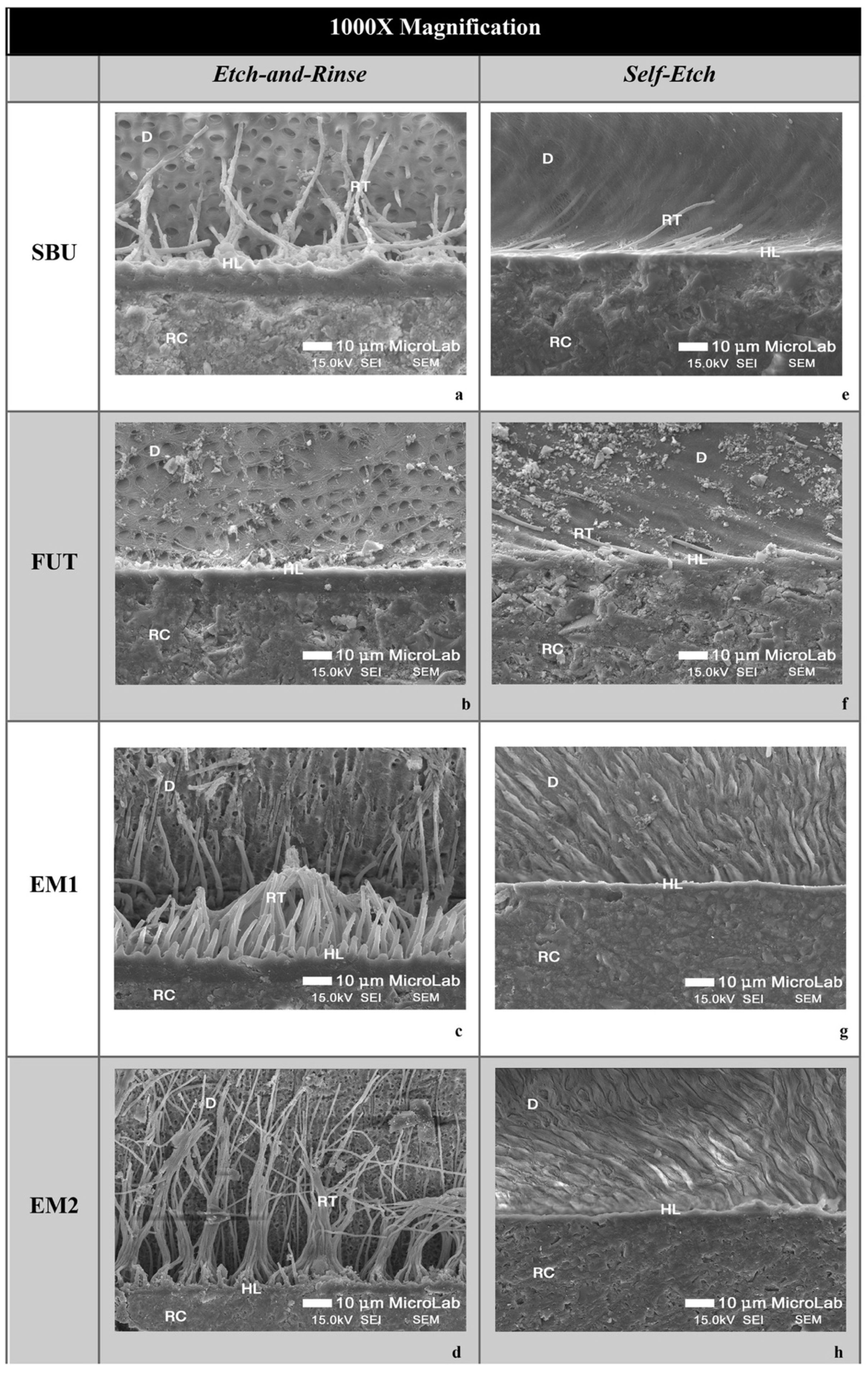 Polymers 14 01462 g002