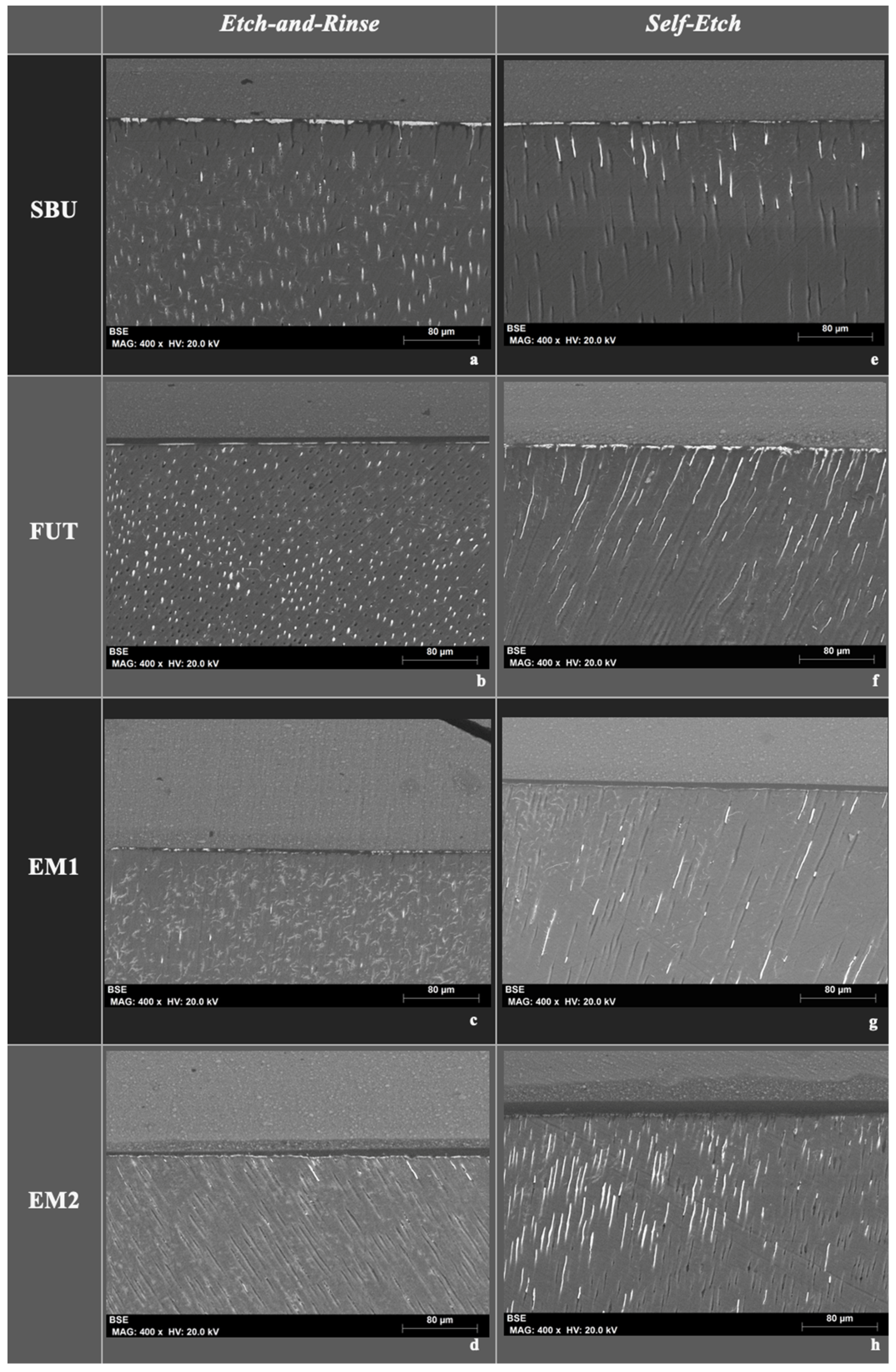 Polymers 14 01462 g004