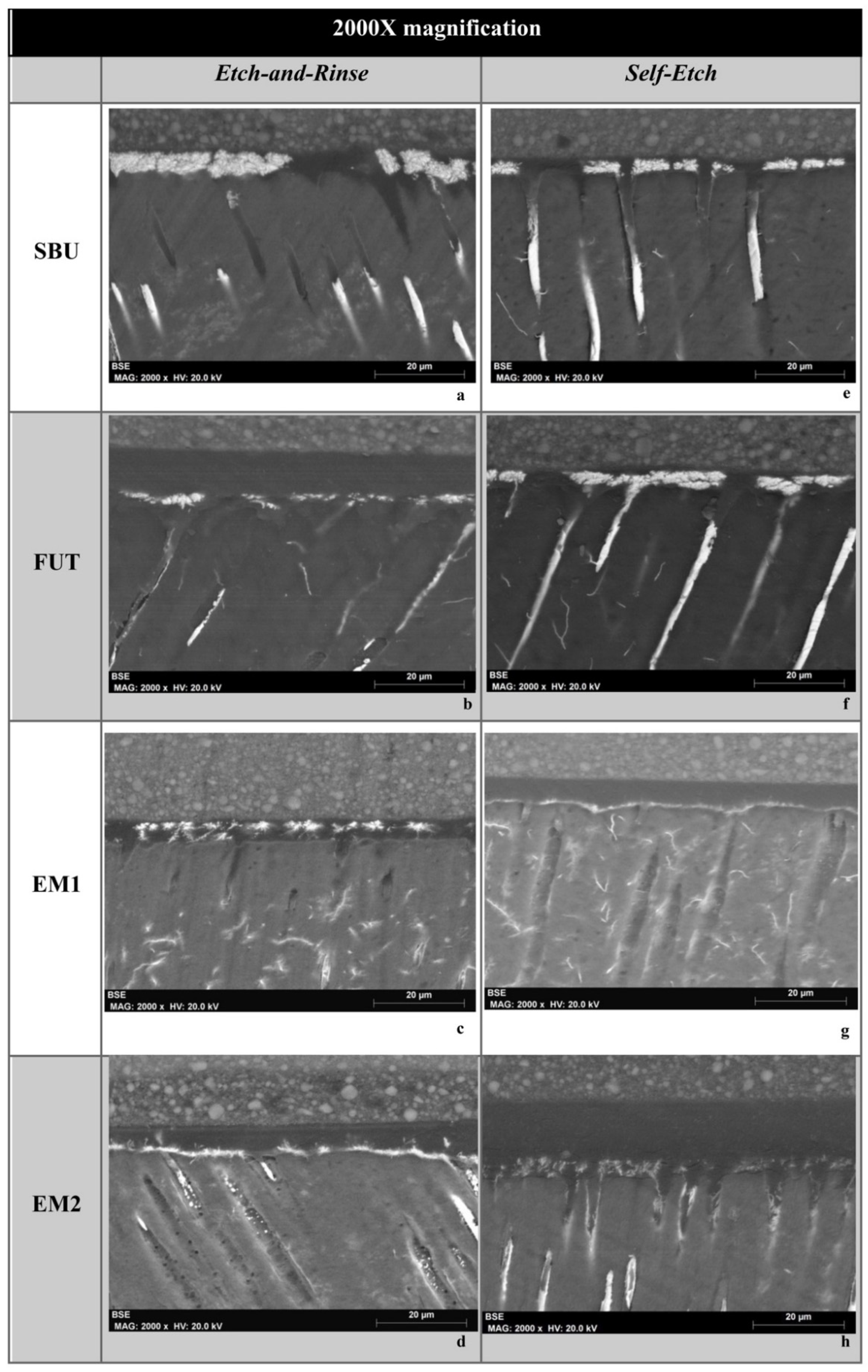 Polymers 14 01462 g005