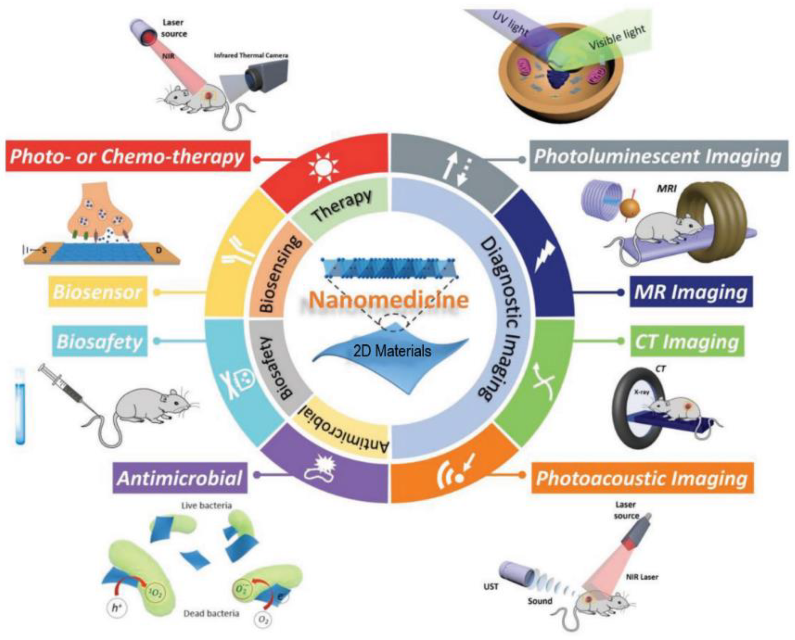 Polymers 14 01464 g002