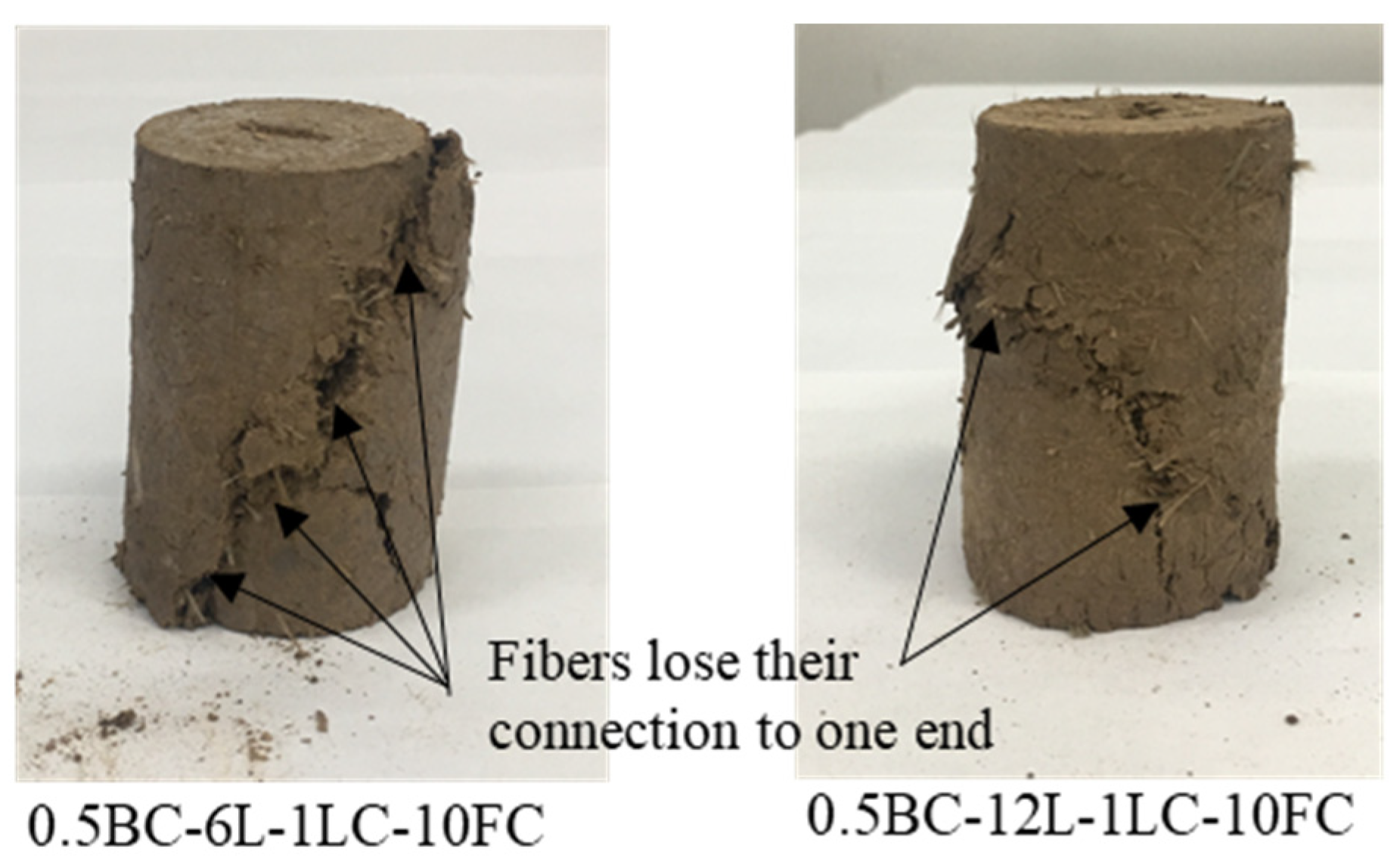 Polymers 14 01465 g008