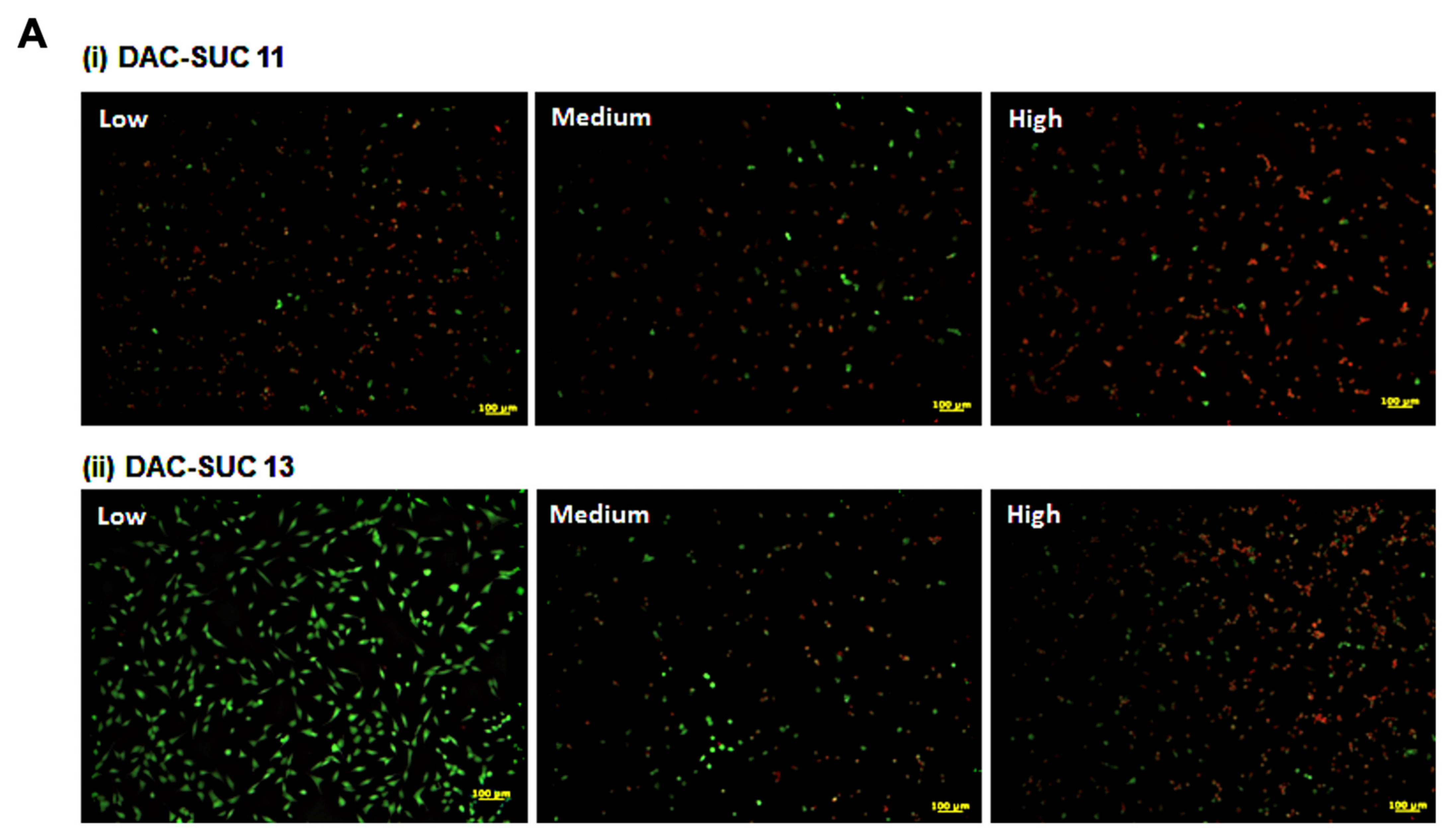 Polymers 14 01474 g003a