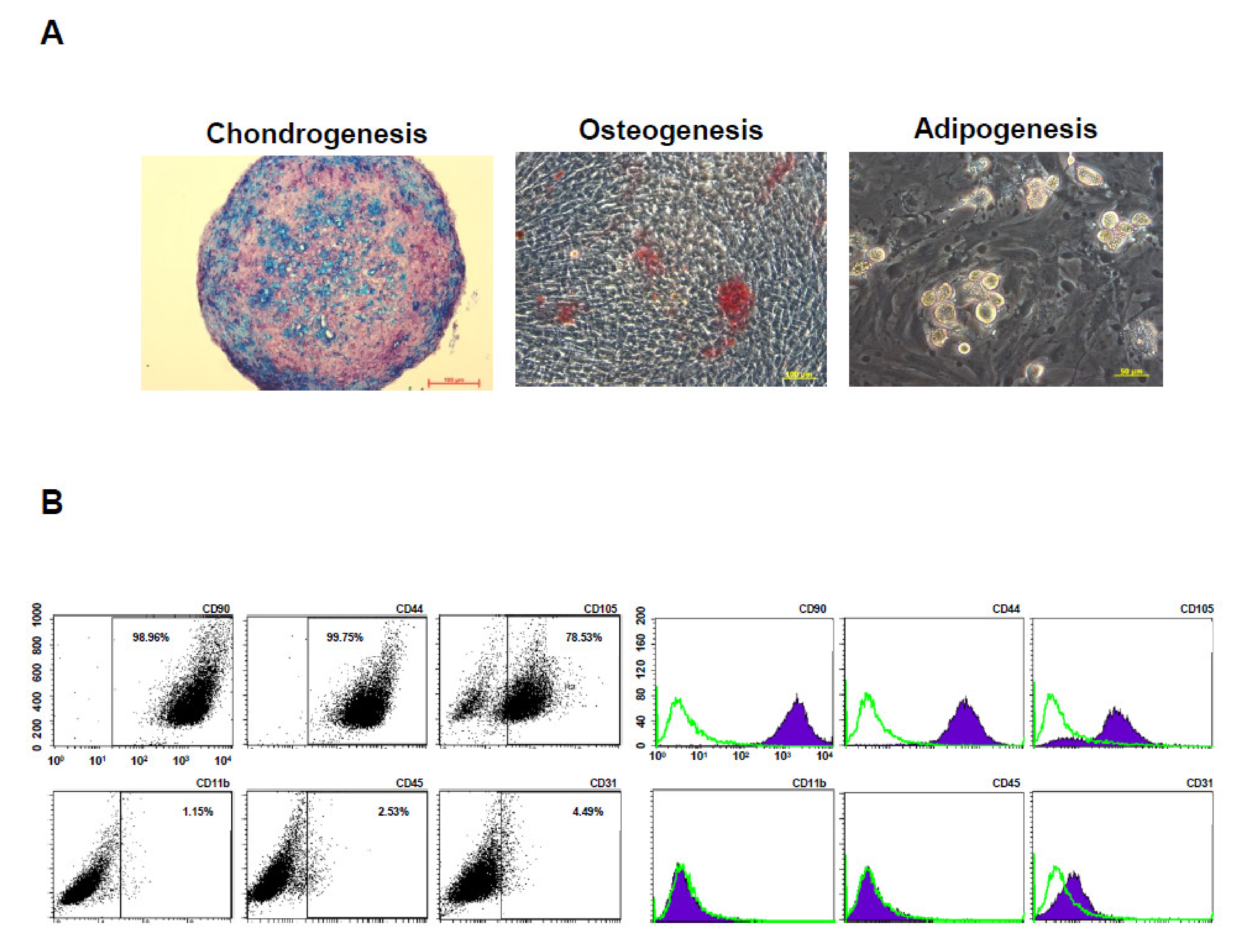 Polymers 14 01474 g004