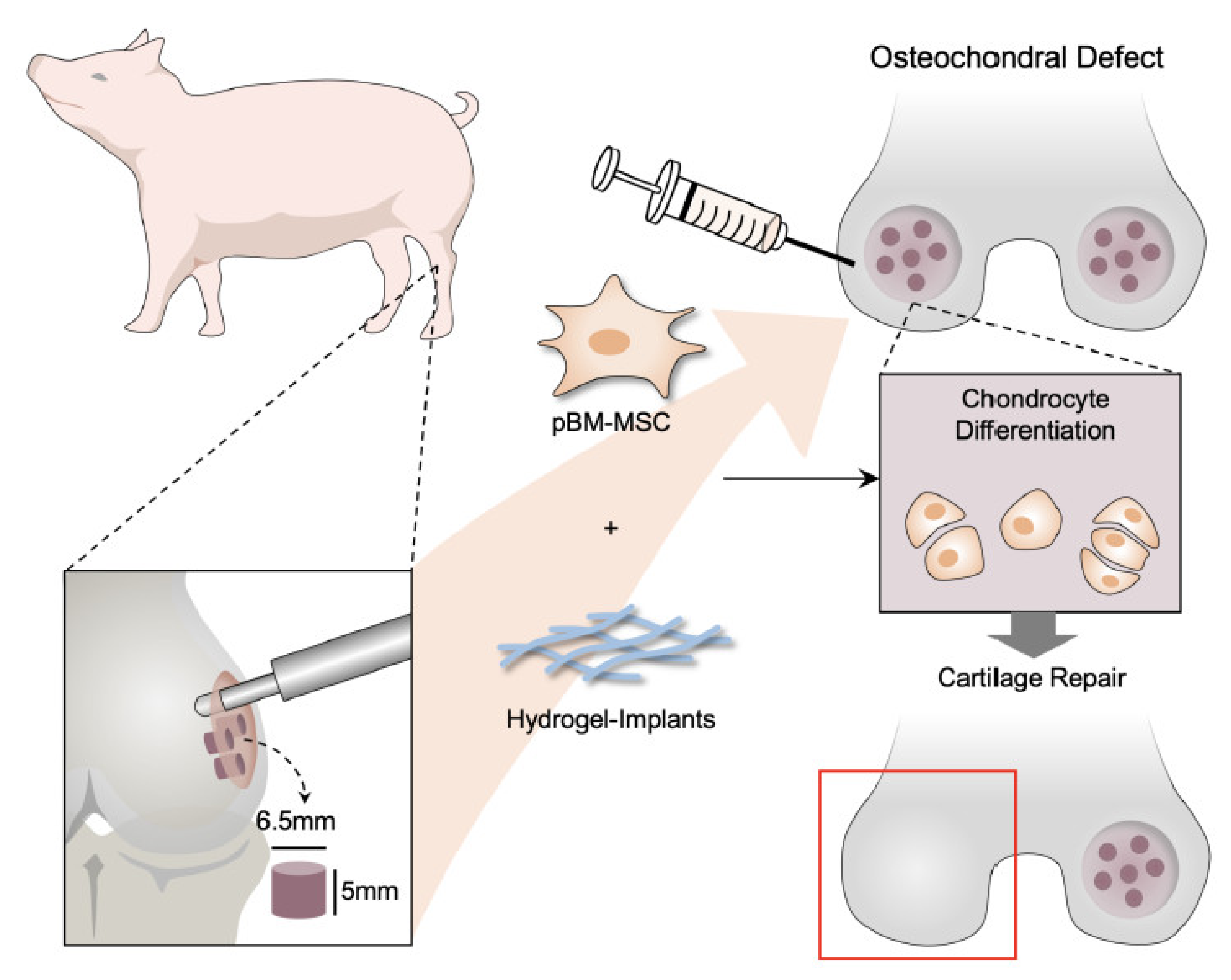 Polymers 14 01474 g006