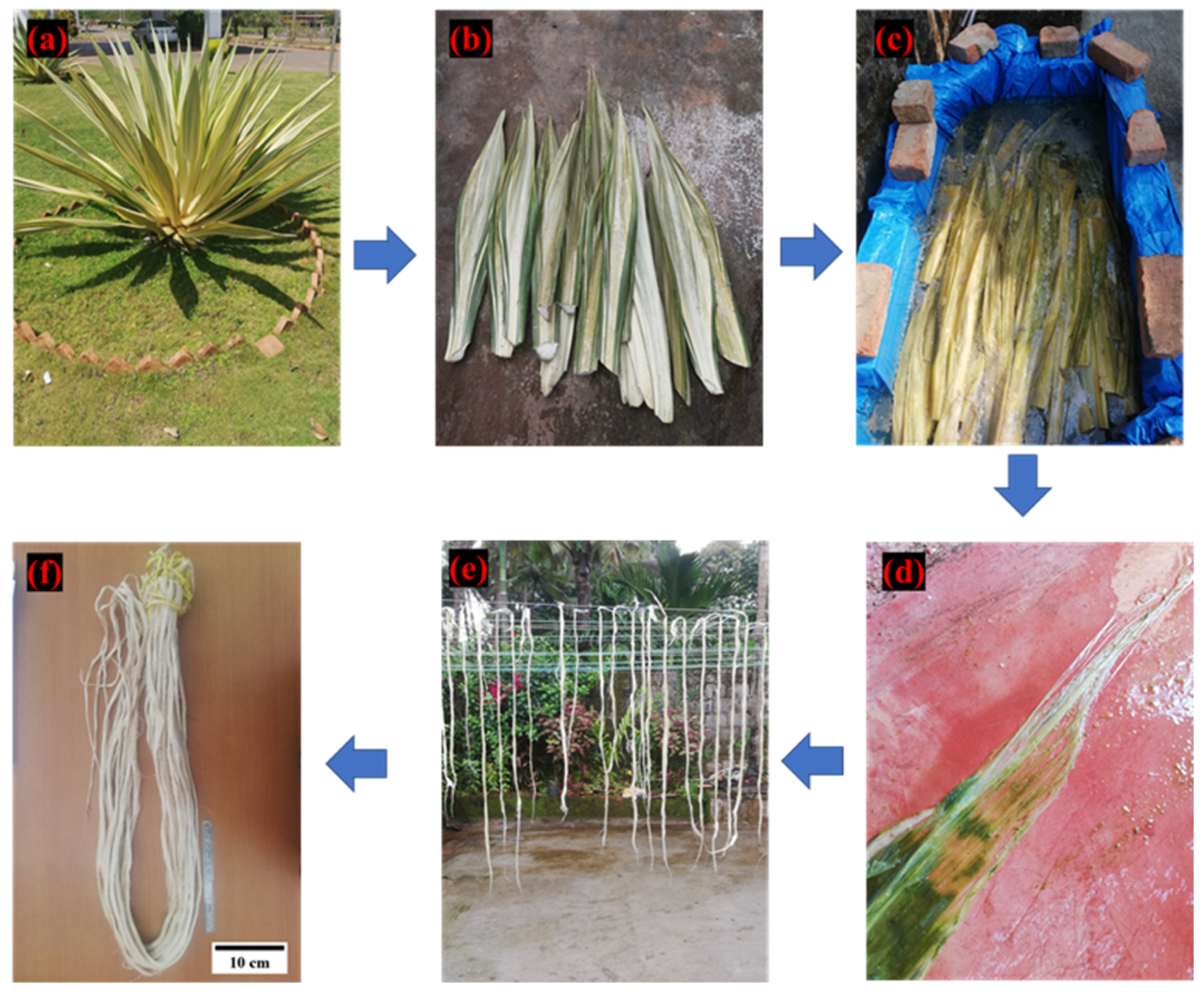 Polymers 14 01476 g001 550