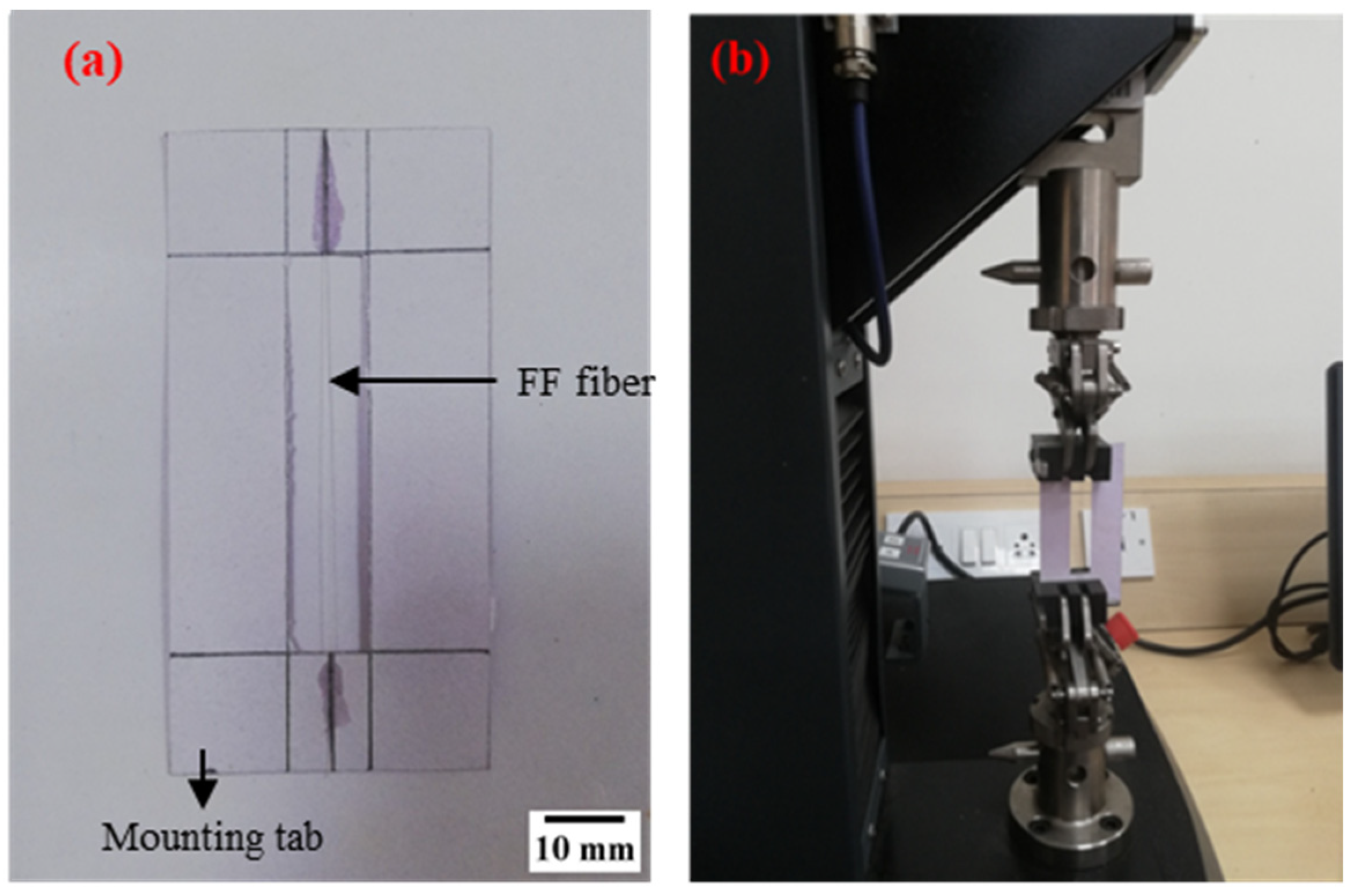 Polymers 14 01476 g003 550