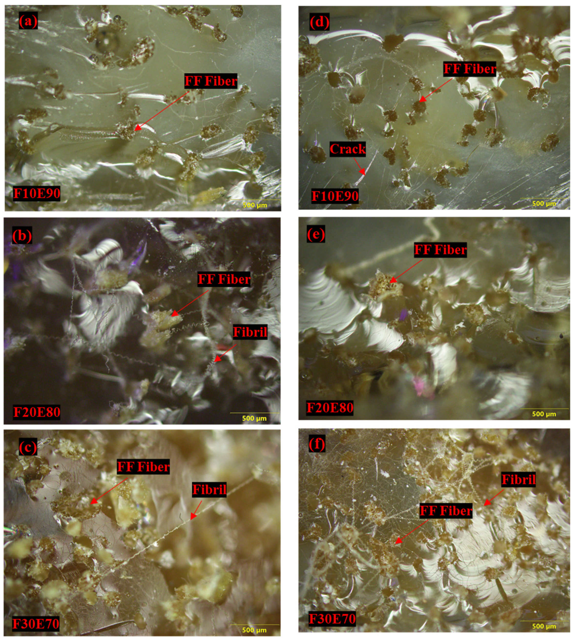 Polymers 14 01476 g019 550