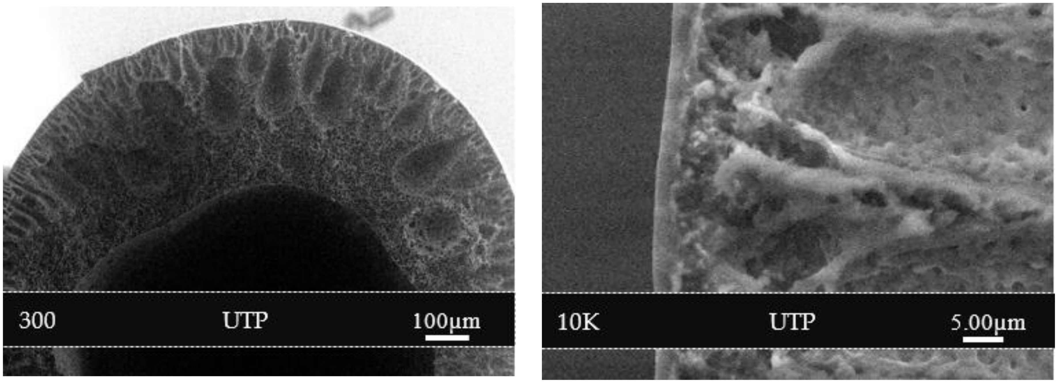 Polymers 14 01480 g004 550