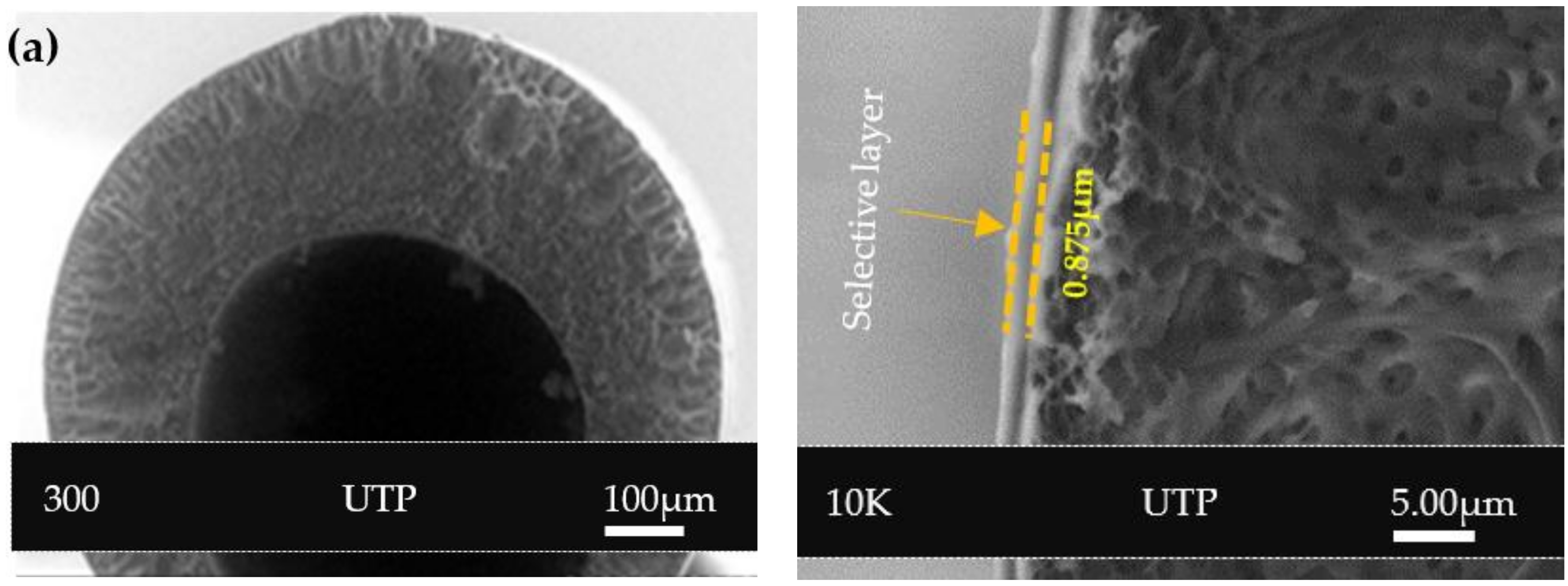 Polymers 14 01480 g005a 550