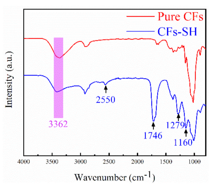 Polymers 14 01482 g001 550