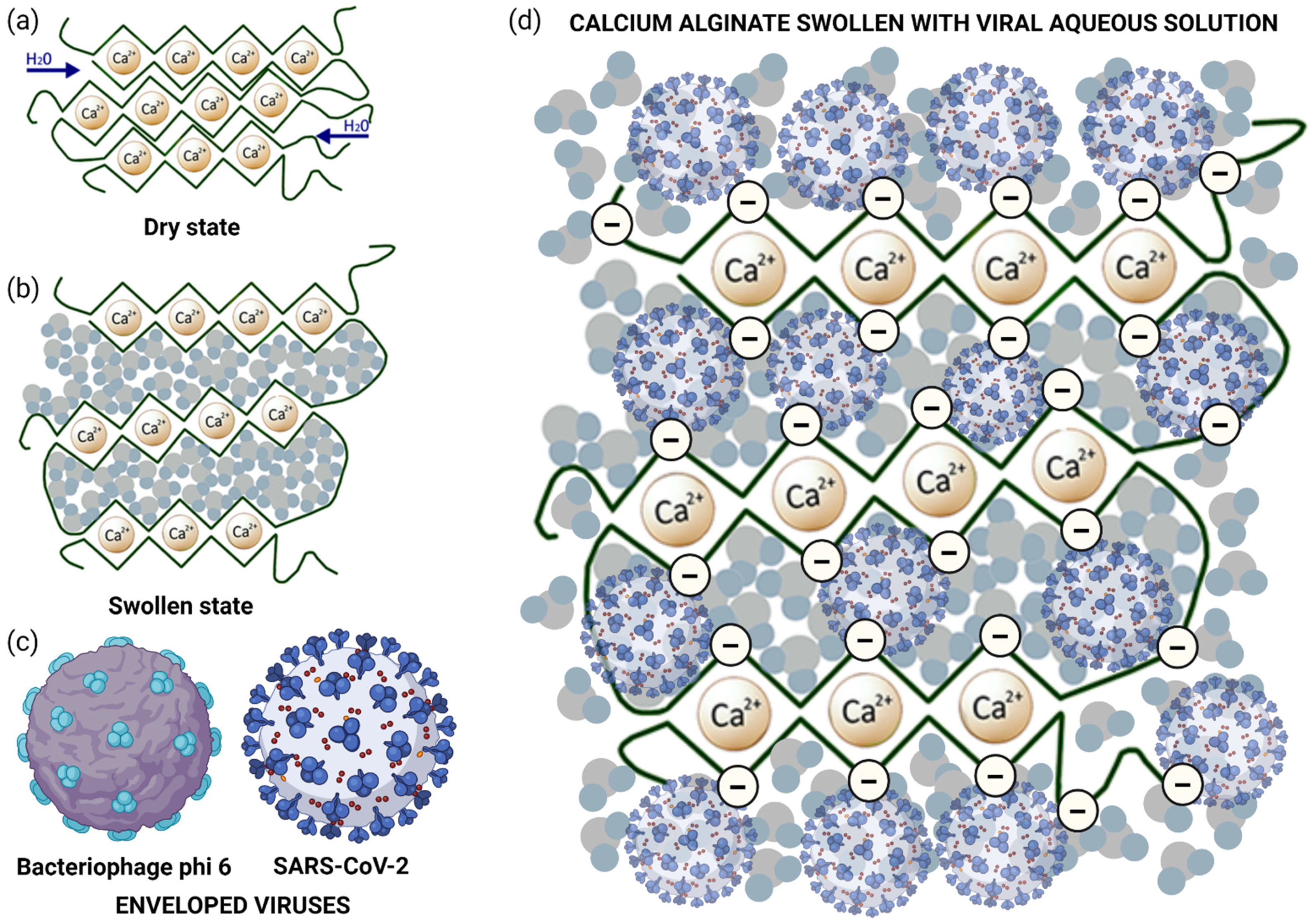 Polymers 14 01483 g006
