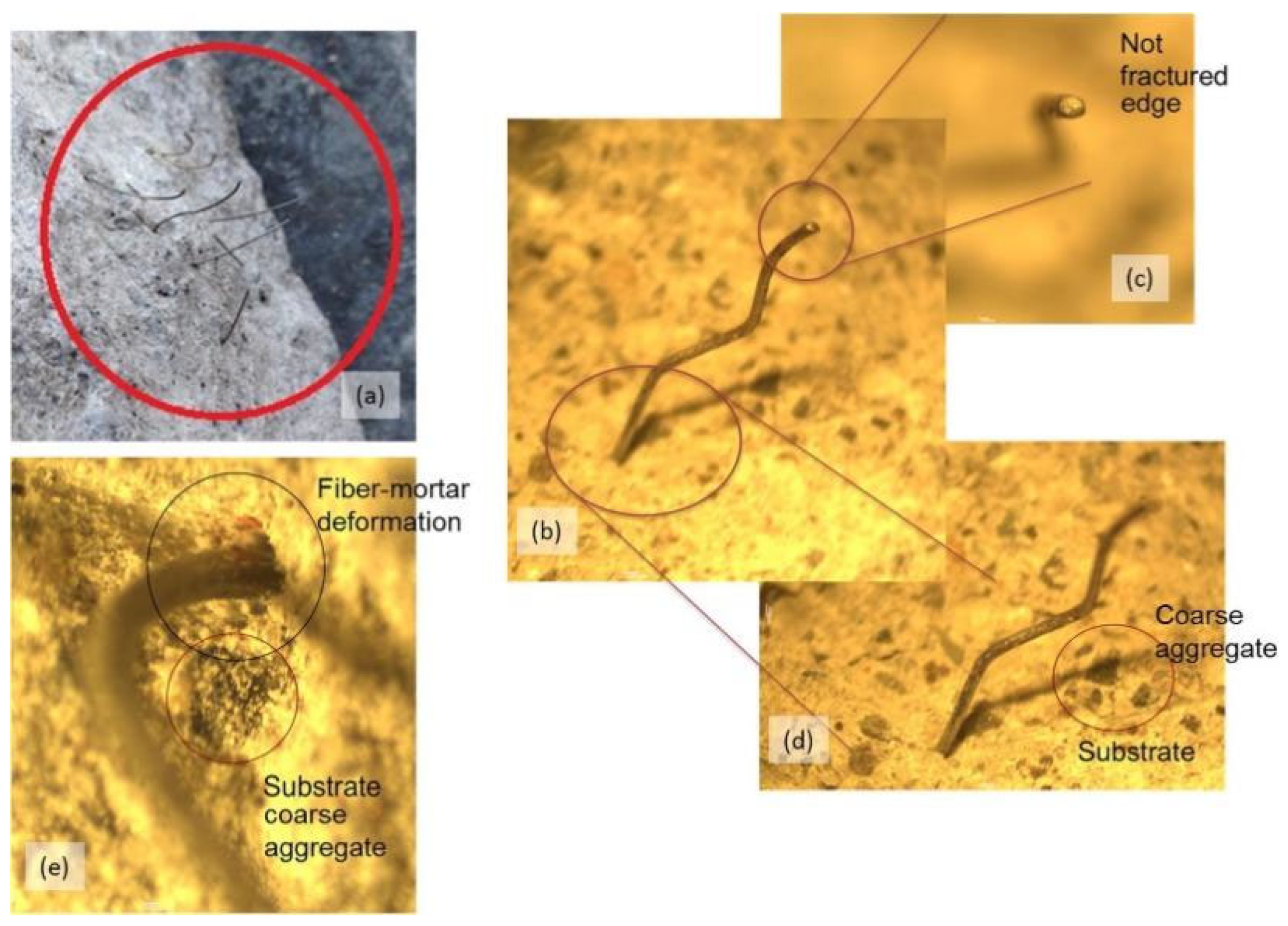 Polymers 14 01485 g017 Polymers 14 01485 g017