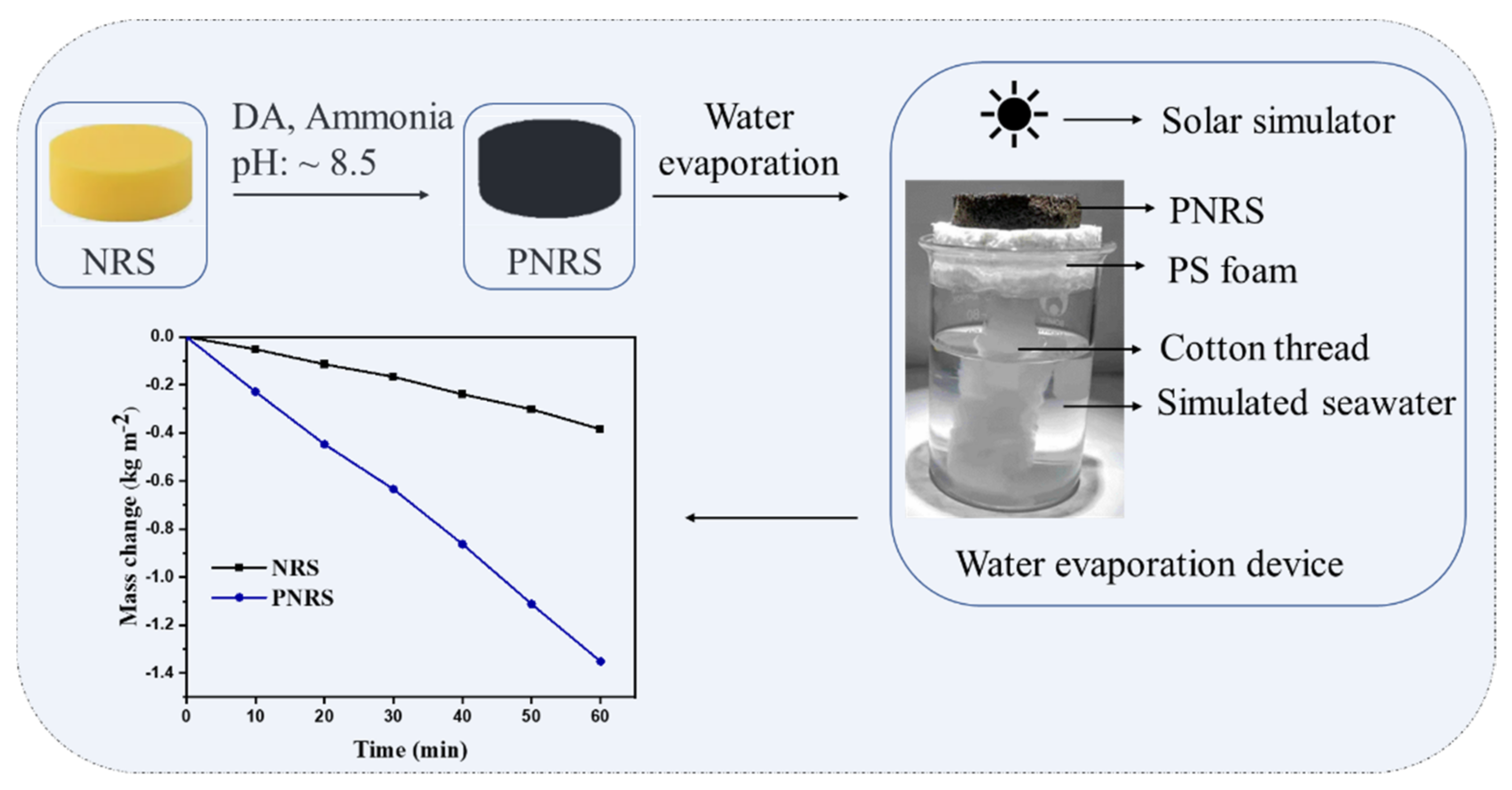 Polymers Free Full Text Polydopamine Coated Natural Rubber Sponge For Highly Efficient Vapor Generation