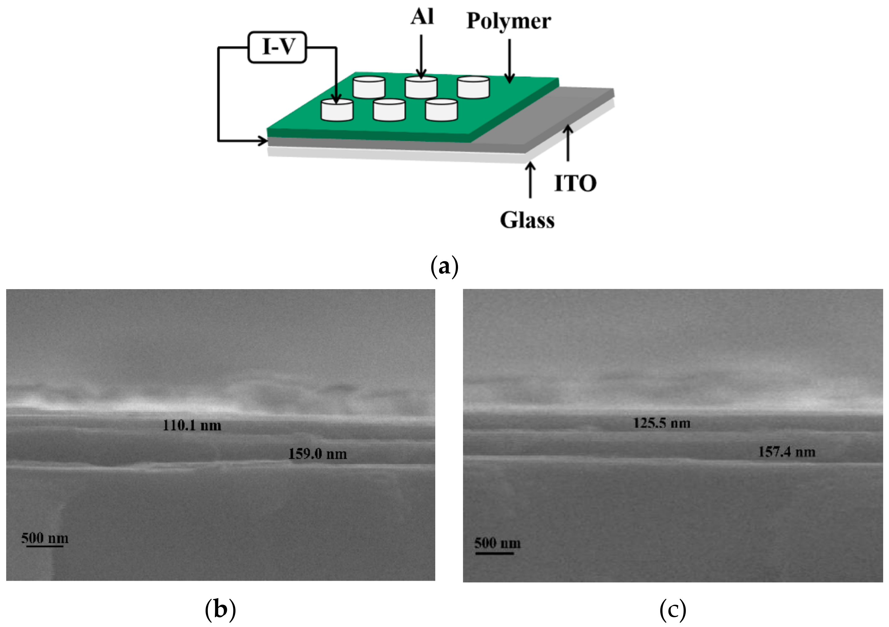 Polymers 14 01494 g004