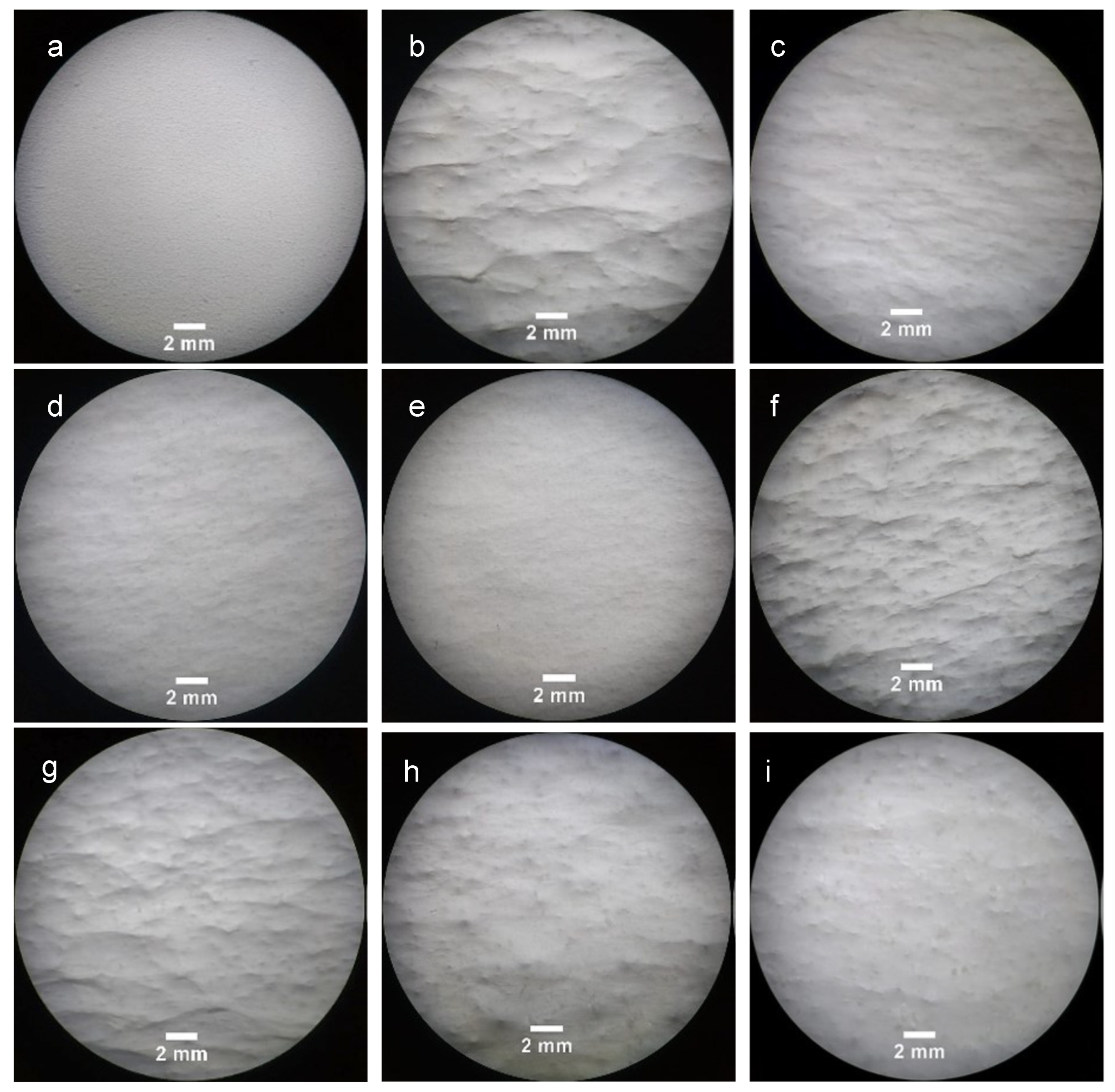 Polymers 14 01496 g003 550