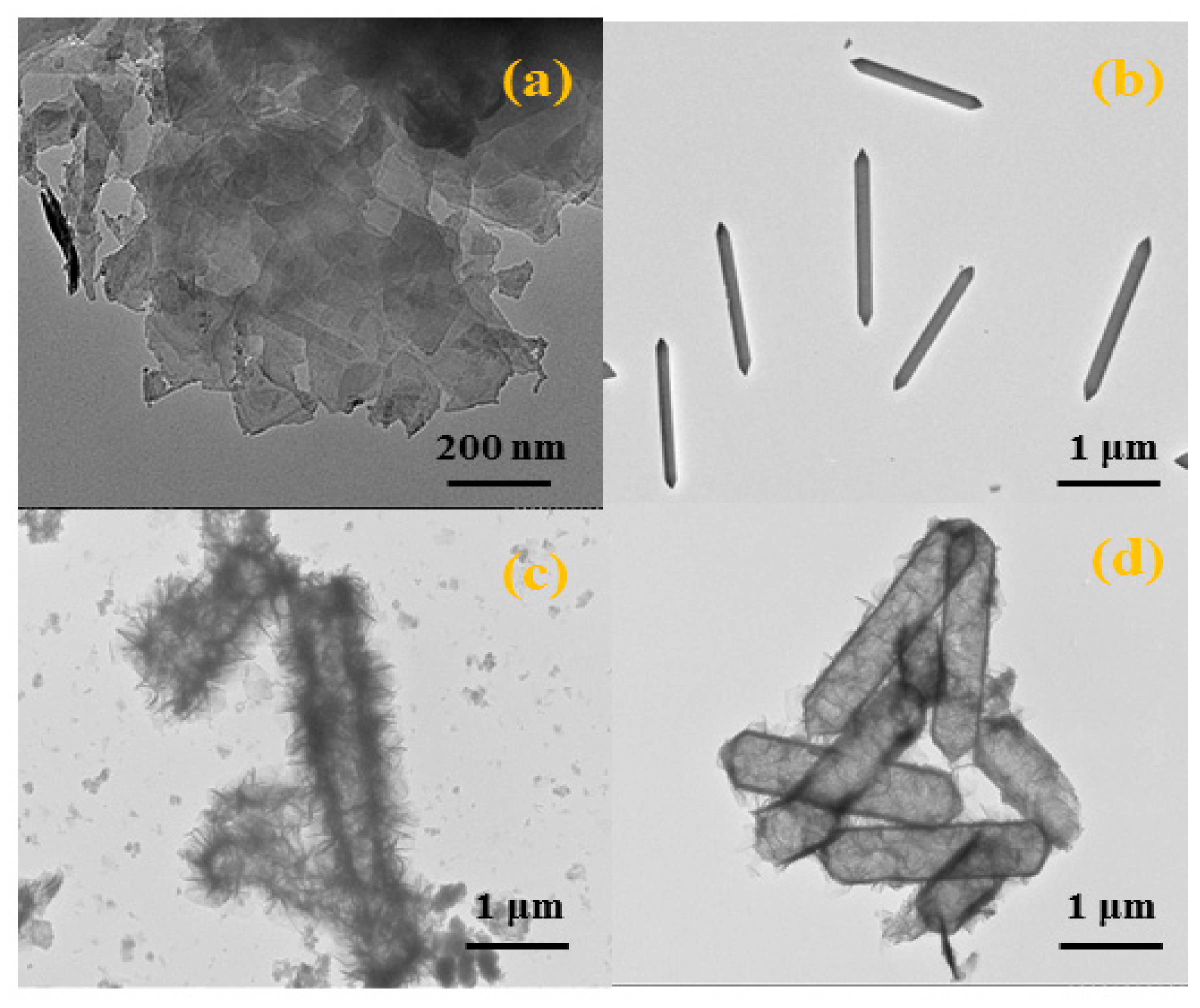 Polymers 14 01506 g005 550