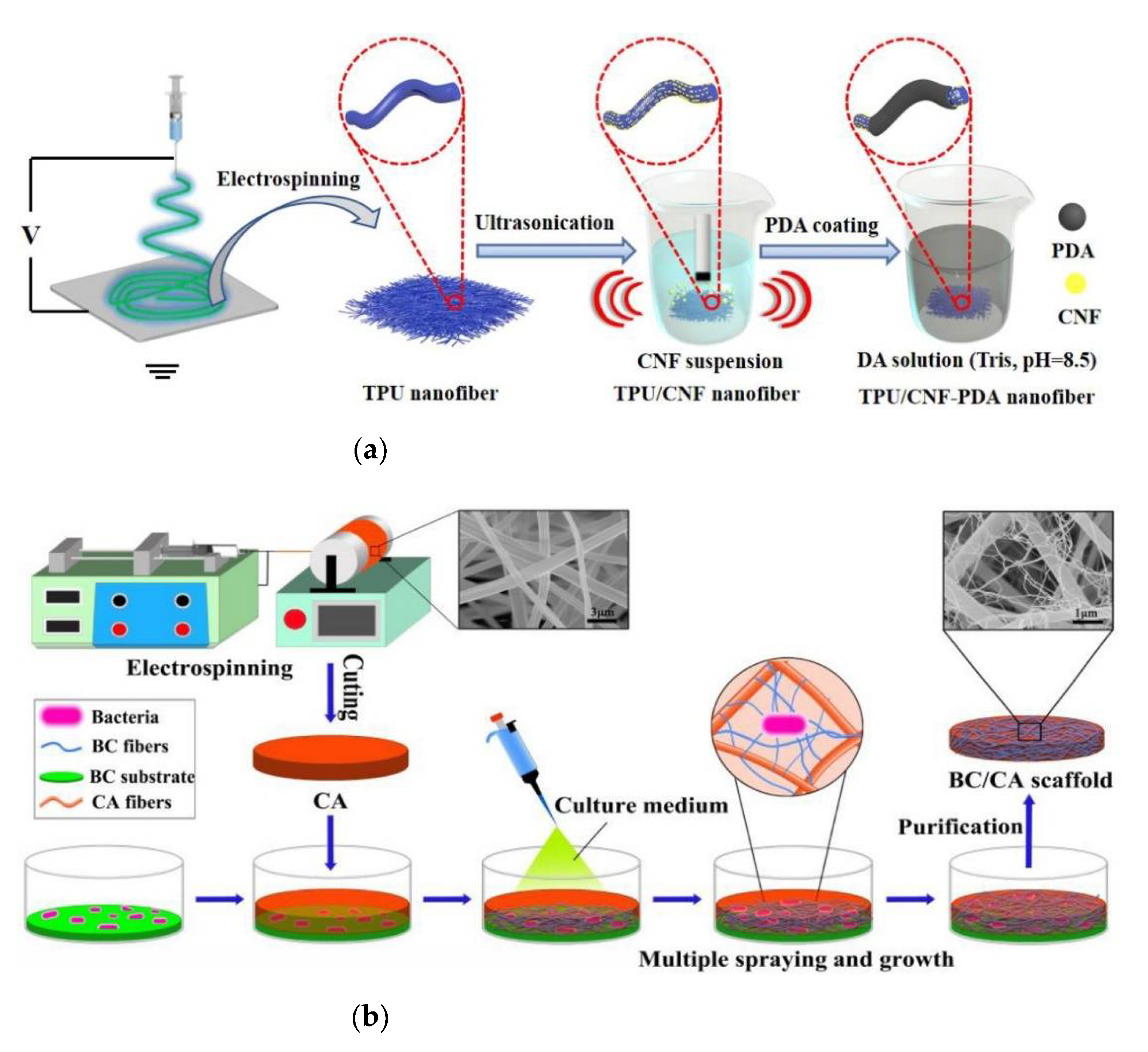 Polymers 14 01508 g002a 550