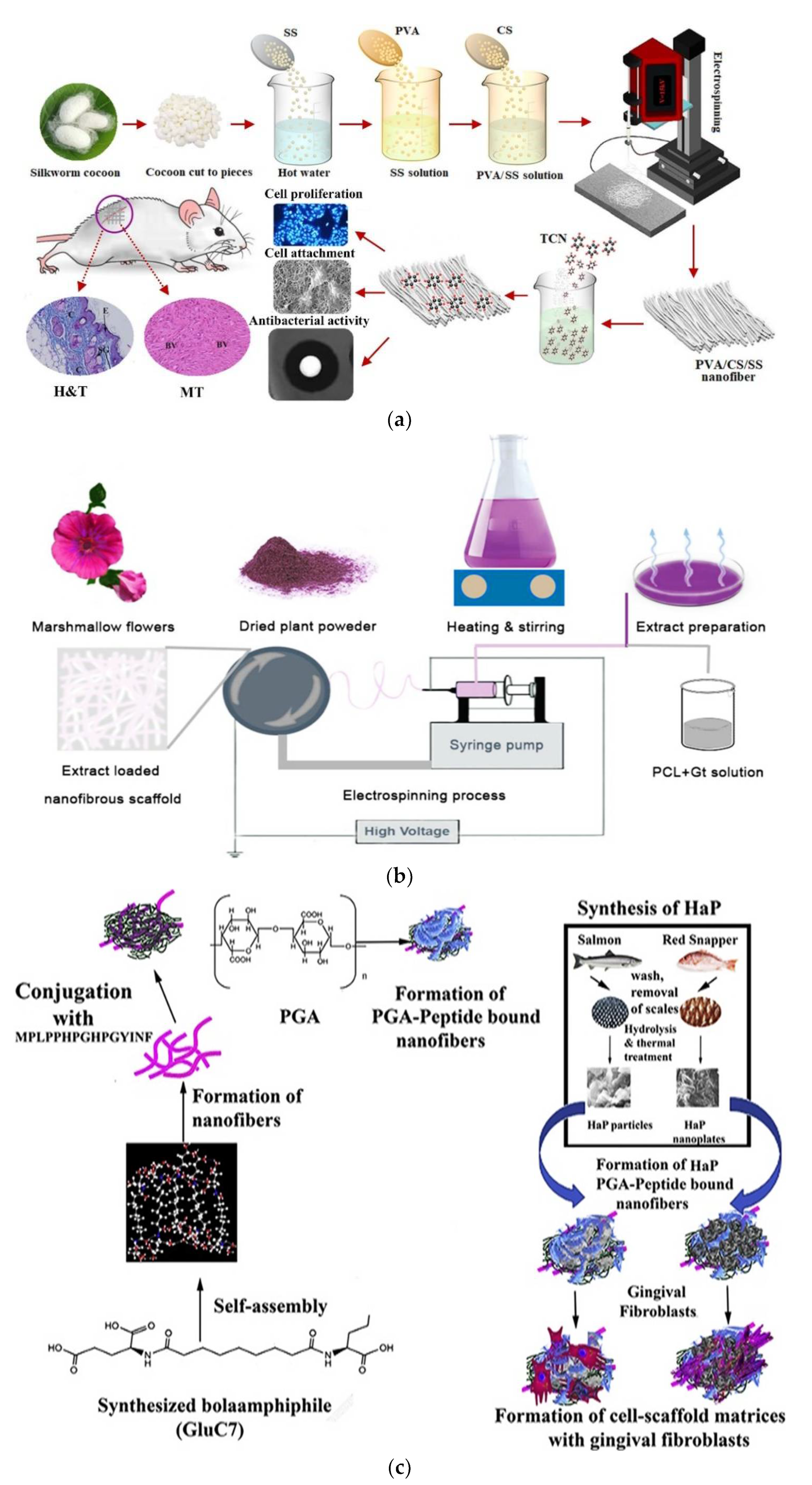 Electrospun Nanofibers picture