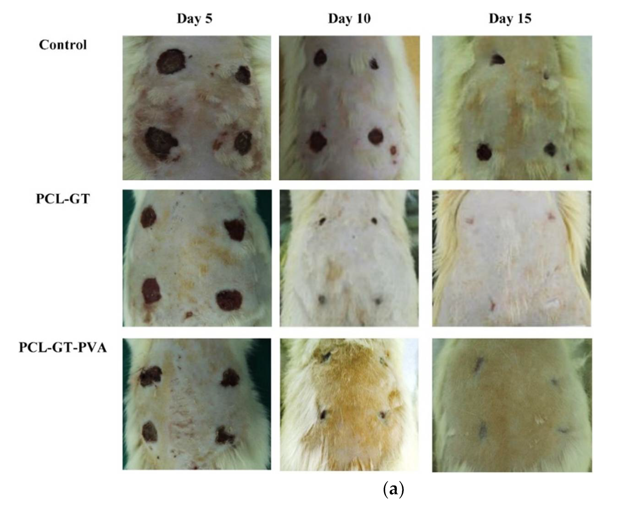Polymers 14 01508 g008a 550
