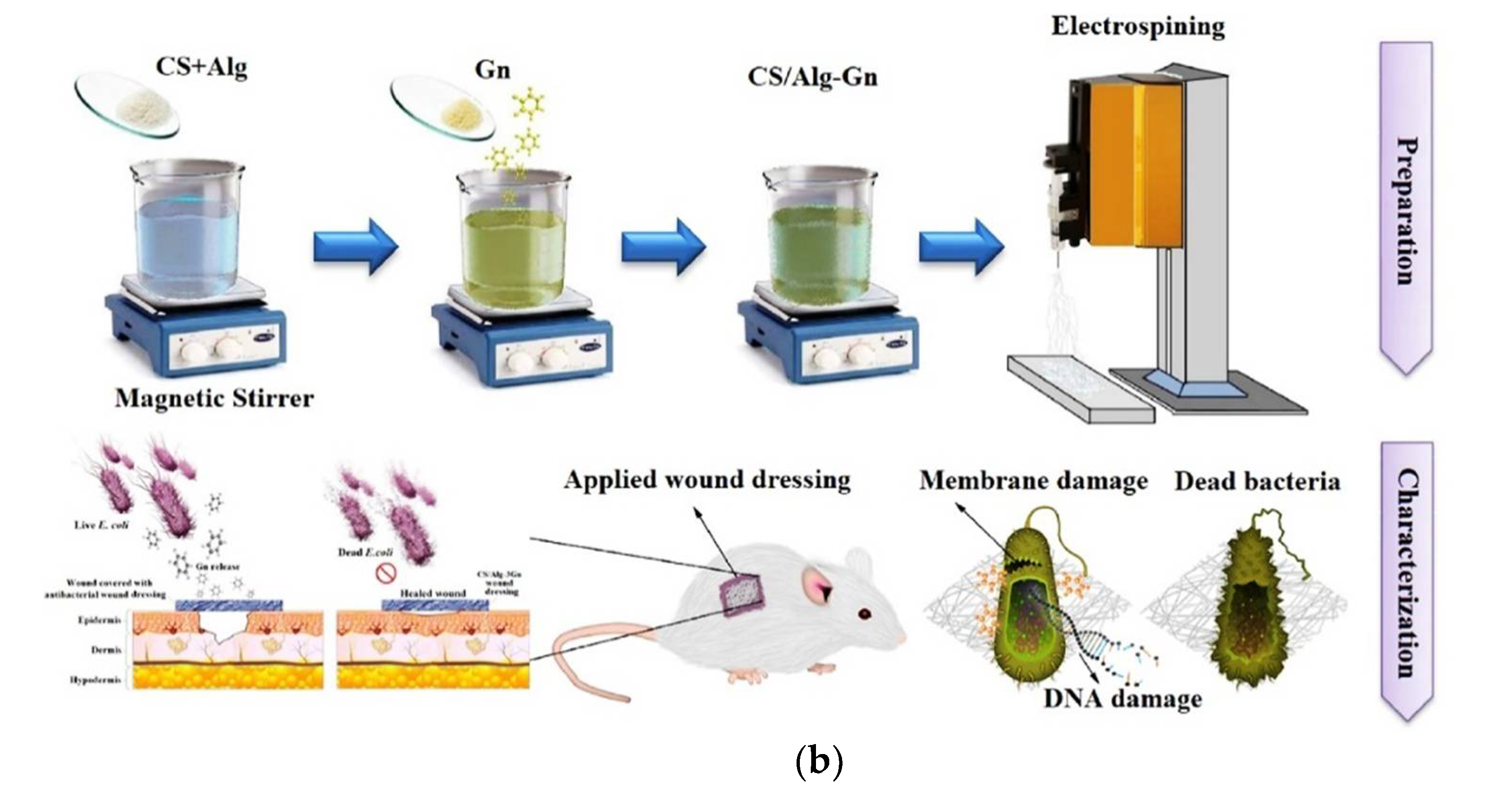 Polymers 14 01508 g008b 550