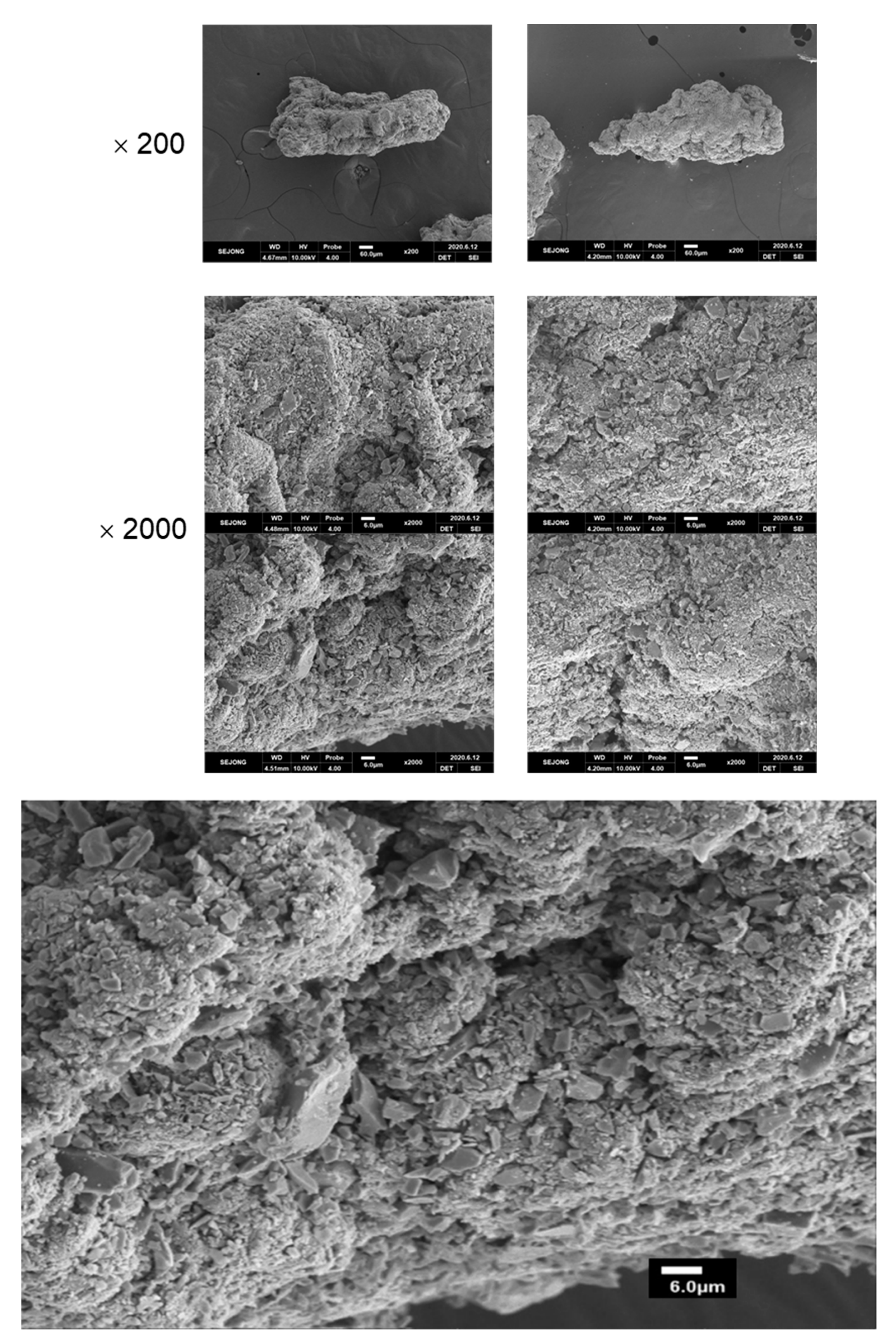 Polymers 14 01512 g003