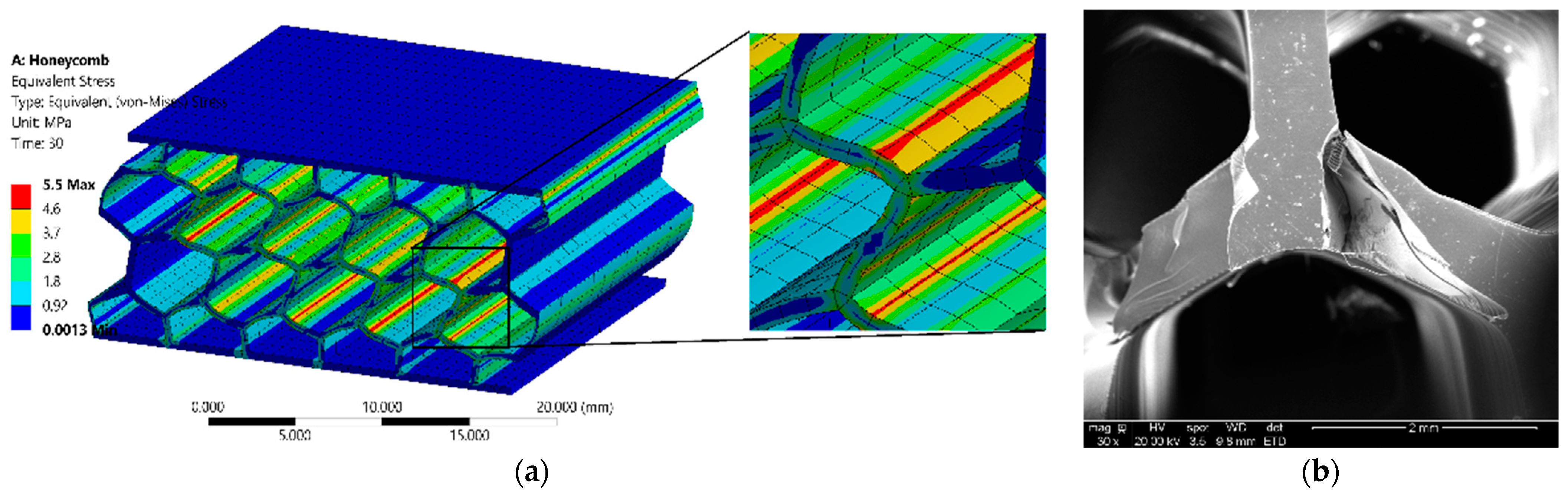 Polymers 14 01513 g008a