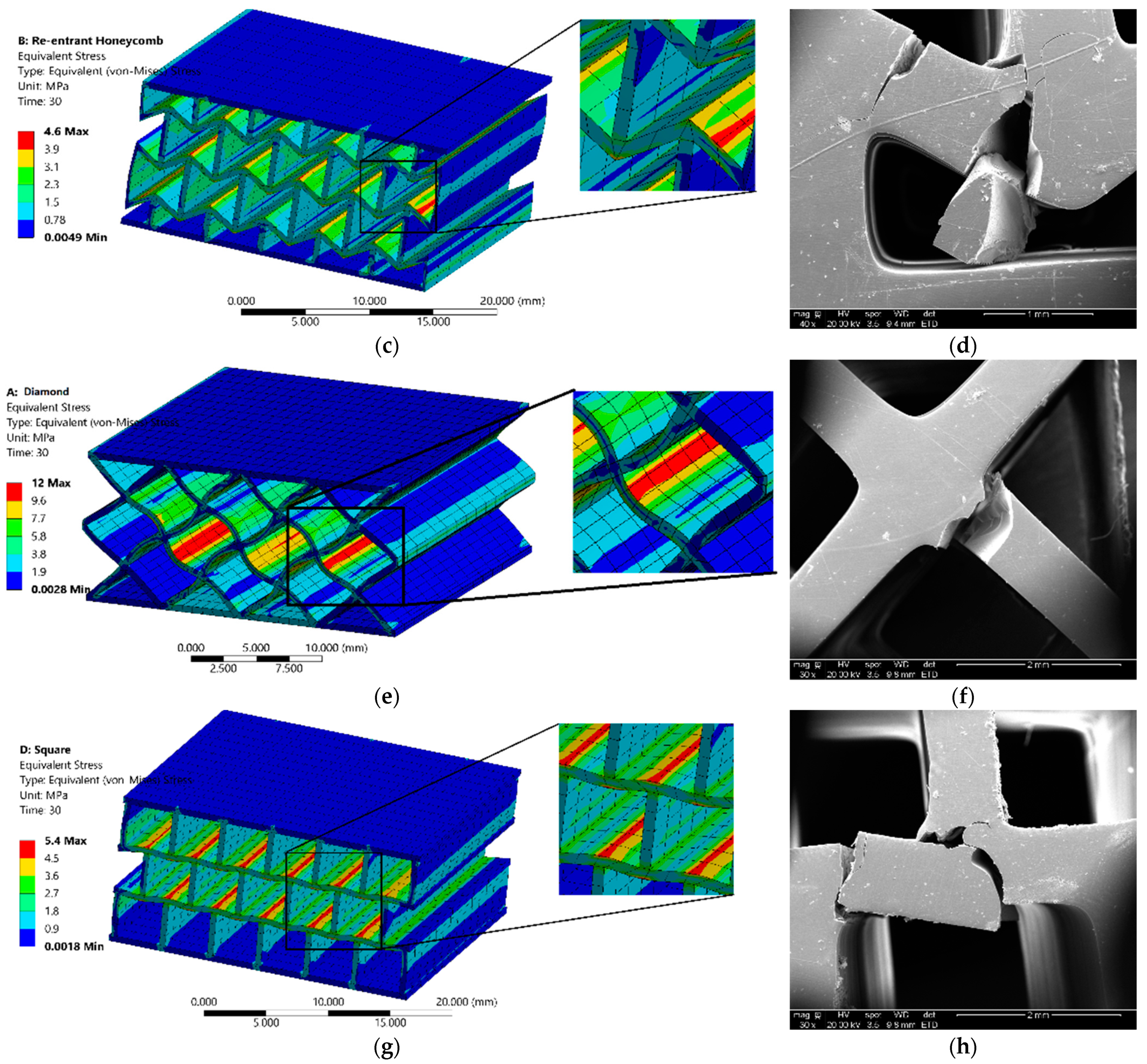 Polymers 14 01513 g008b