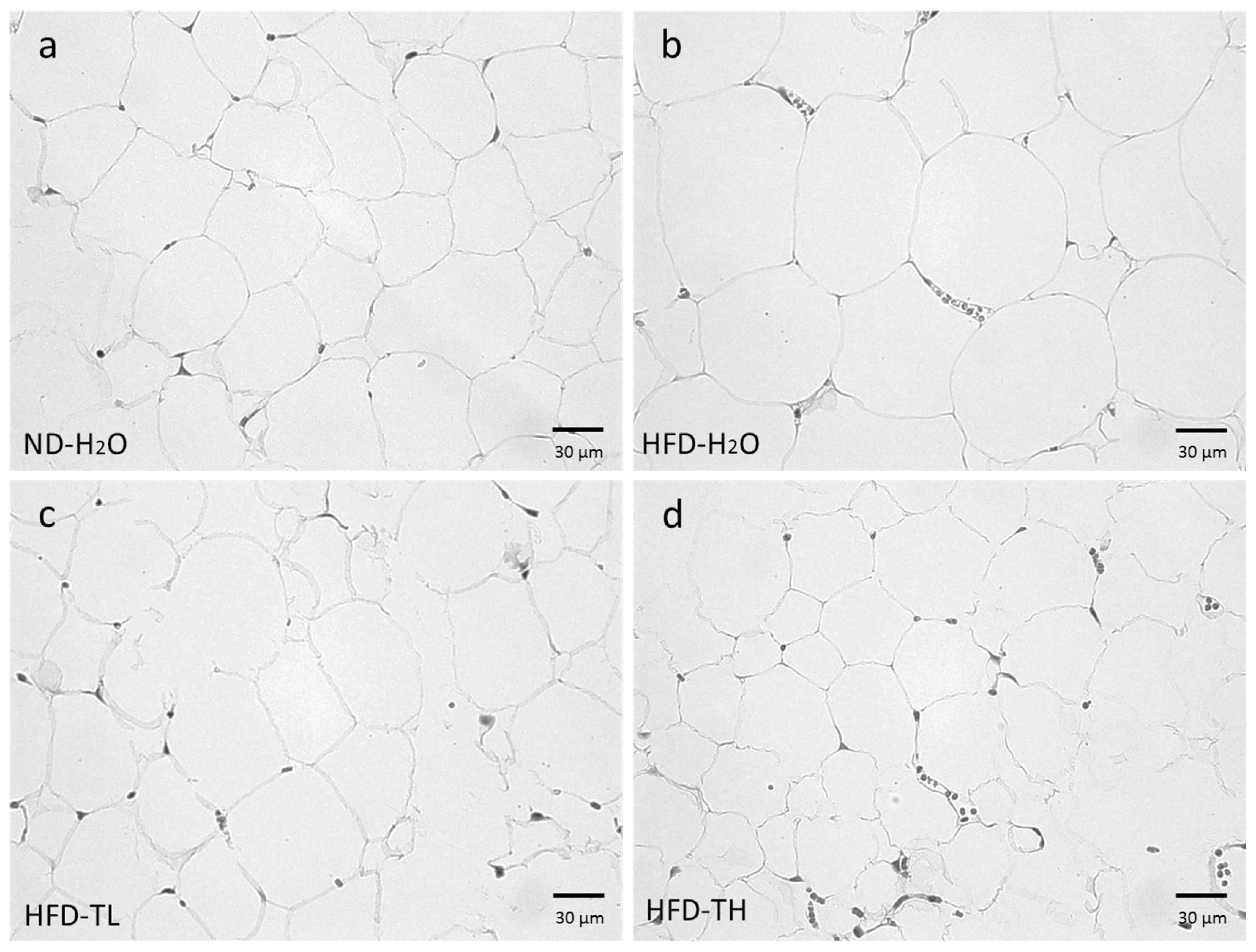 Polymers 14 01514 g006 Polymers 14 01514 g006