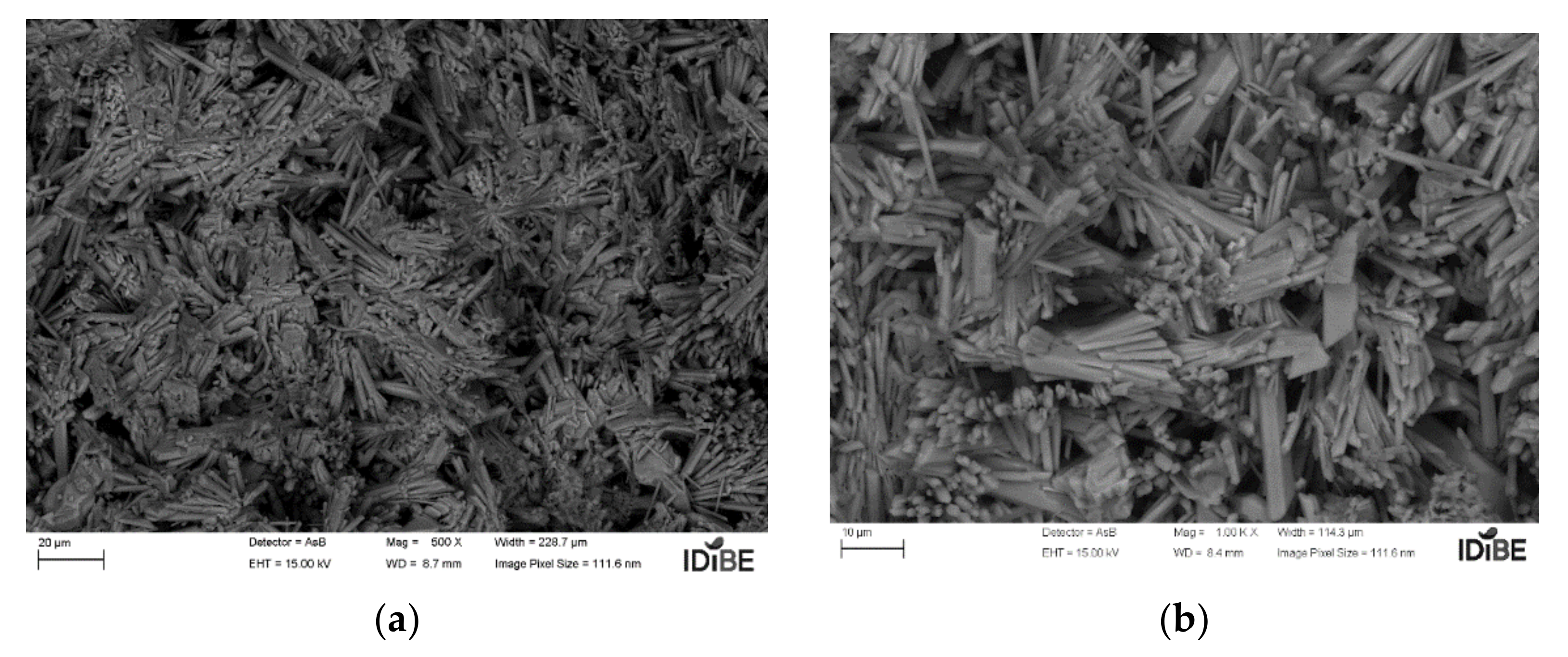 Polymers 14 01522 g009