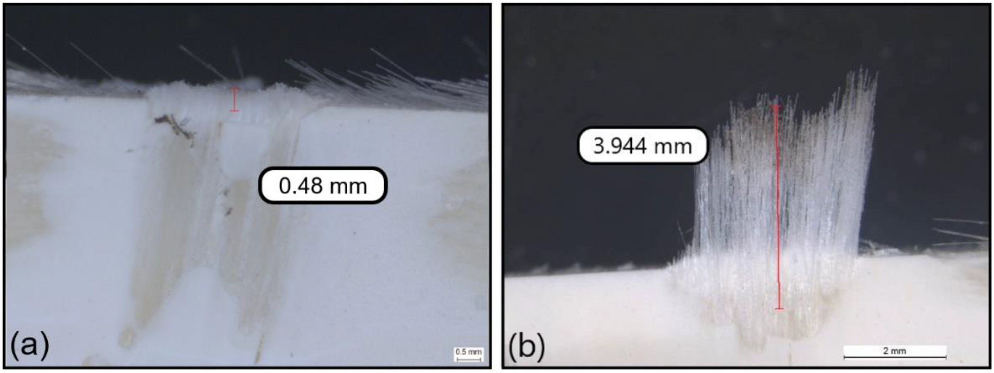 Polymers 14 01524 g007