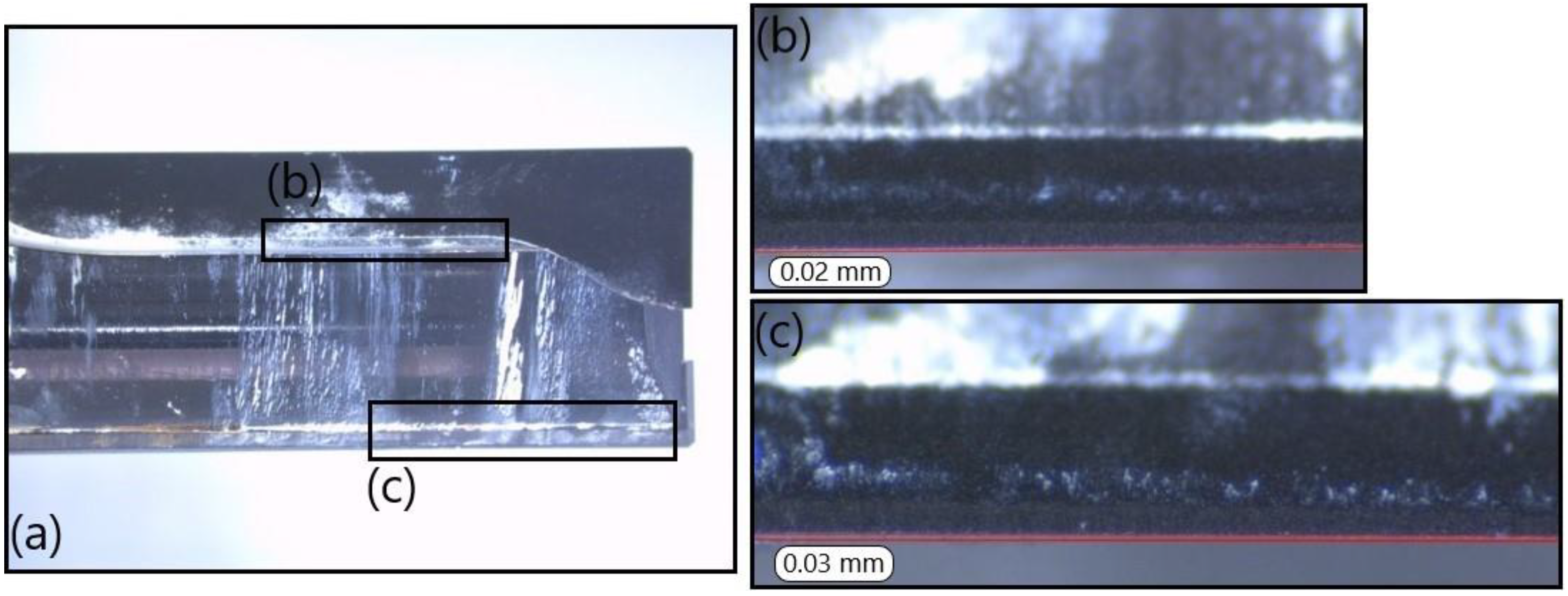 Polymers 14 01524 g022
