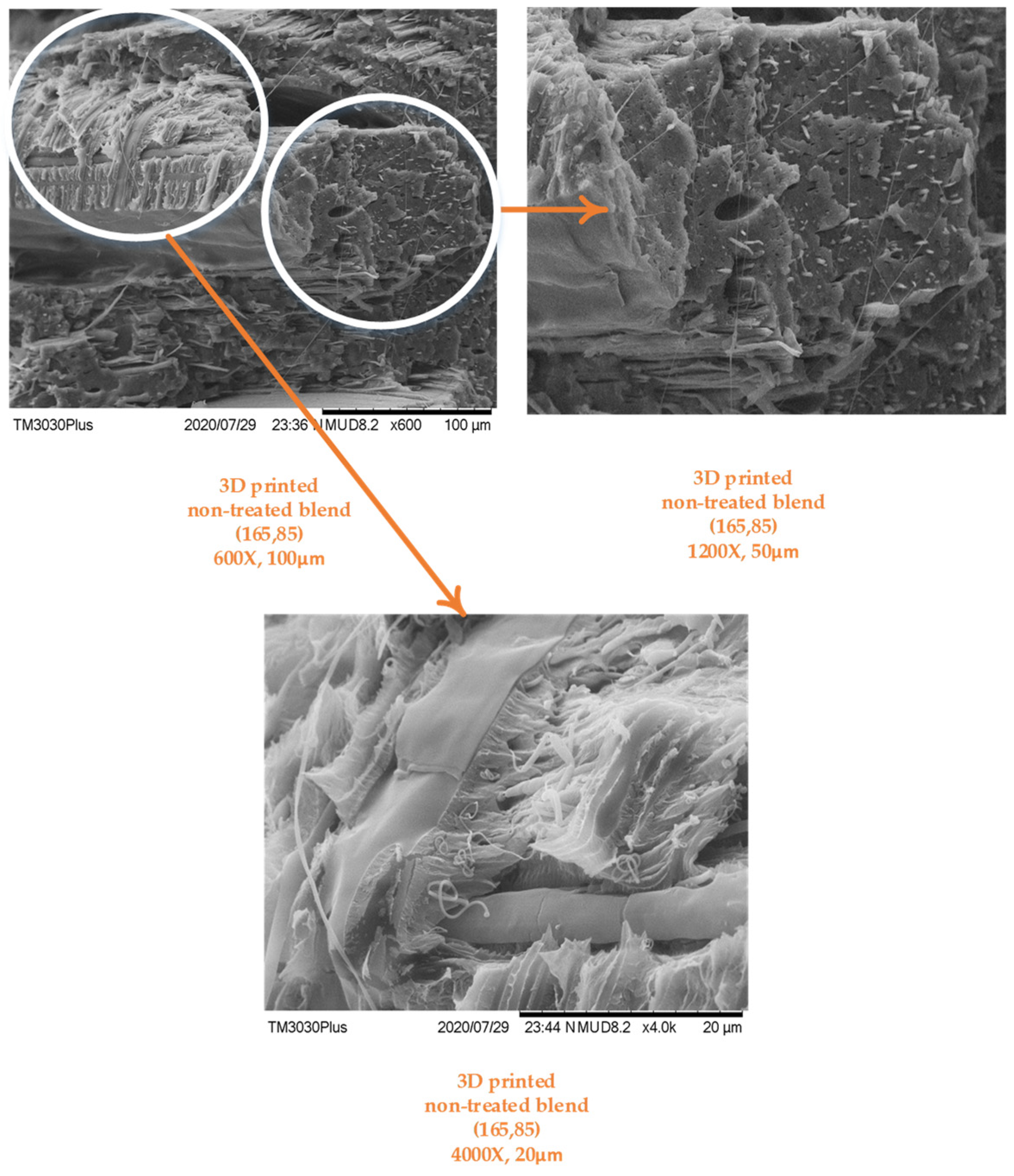 Polymers 14 01527 g005