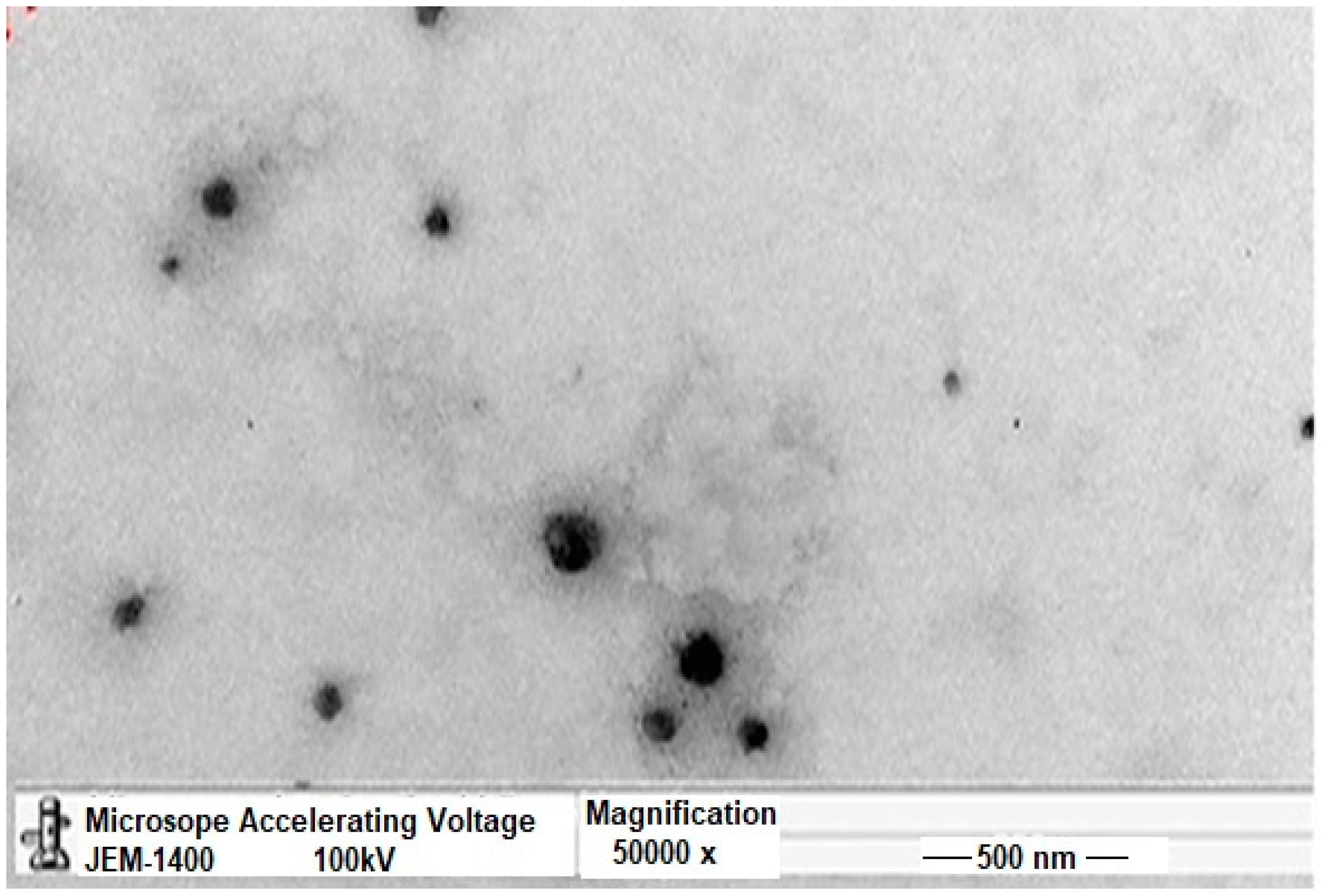 Polymers 14 01528 g001
