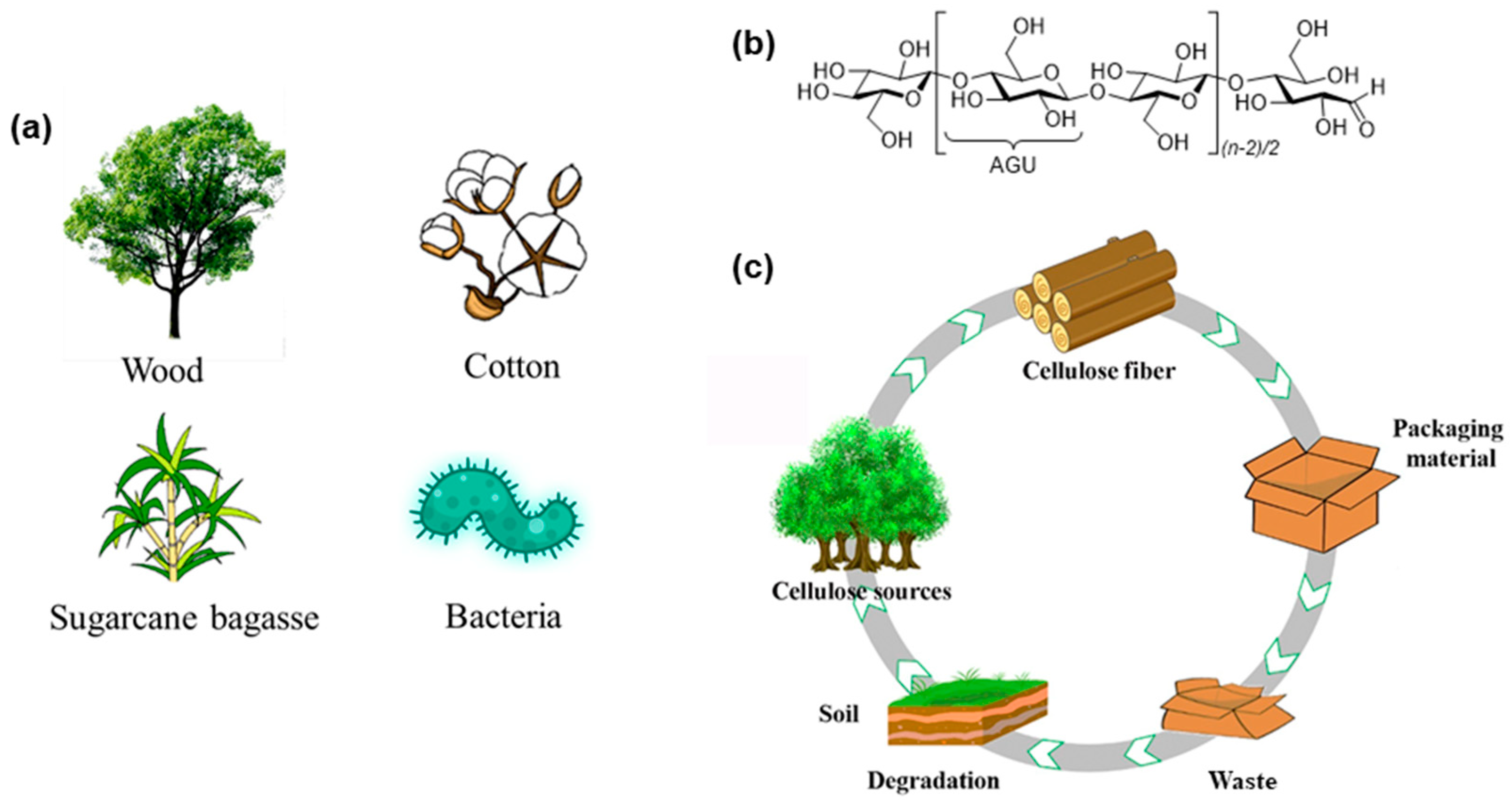 Polymers, Free Full-Text