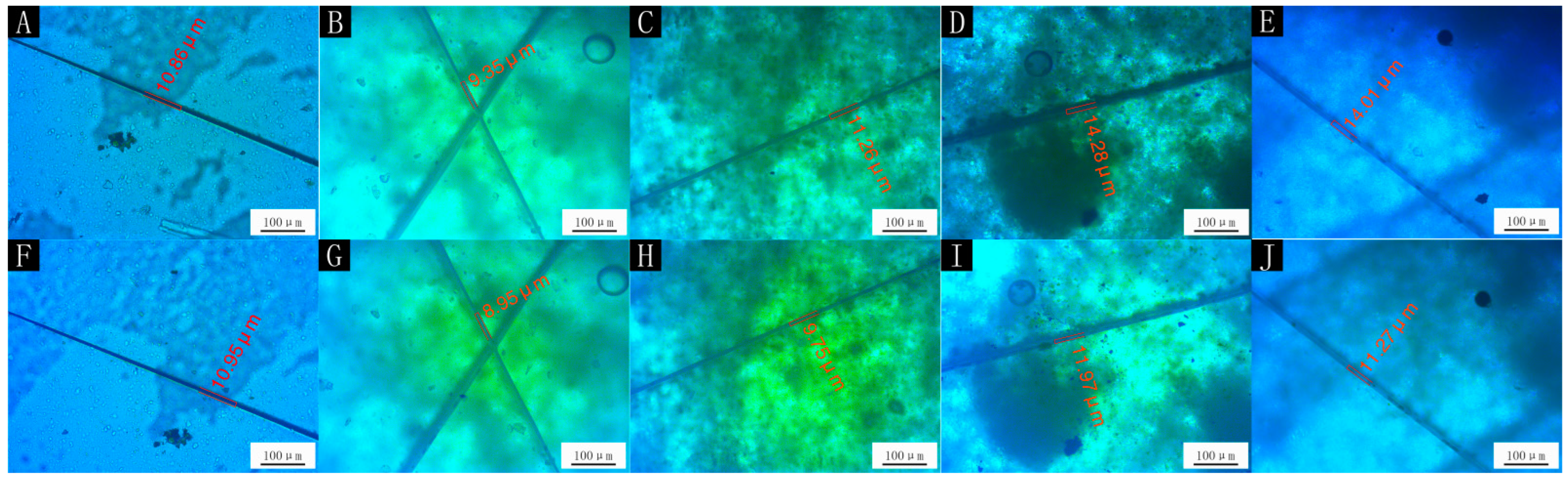 Polymers 14 01536 g006 550