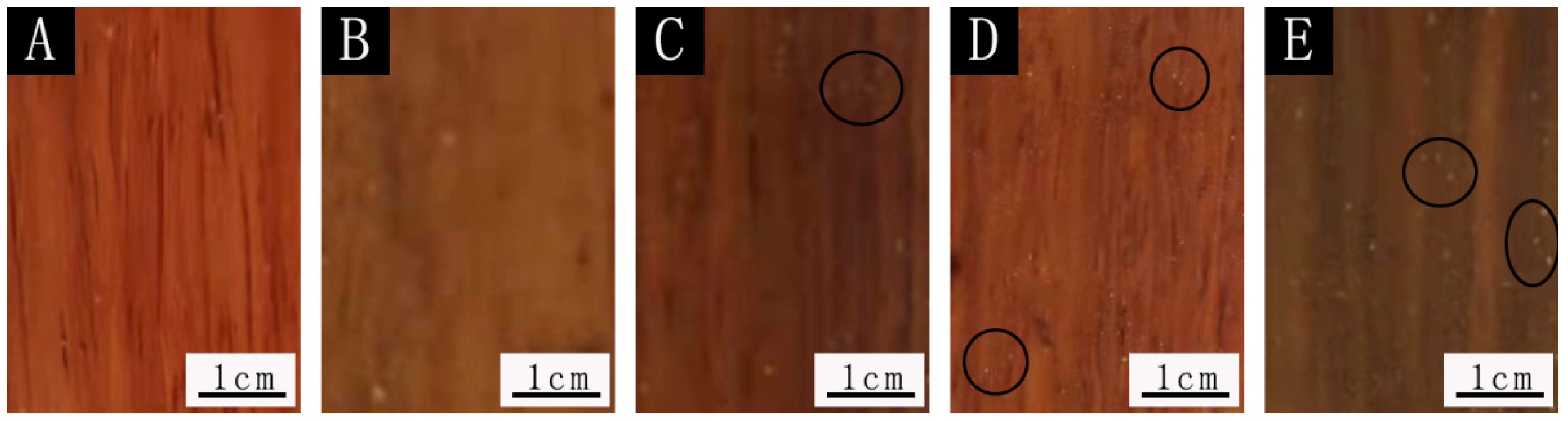 Polymers 14 01536 g008 550