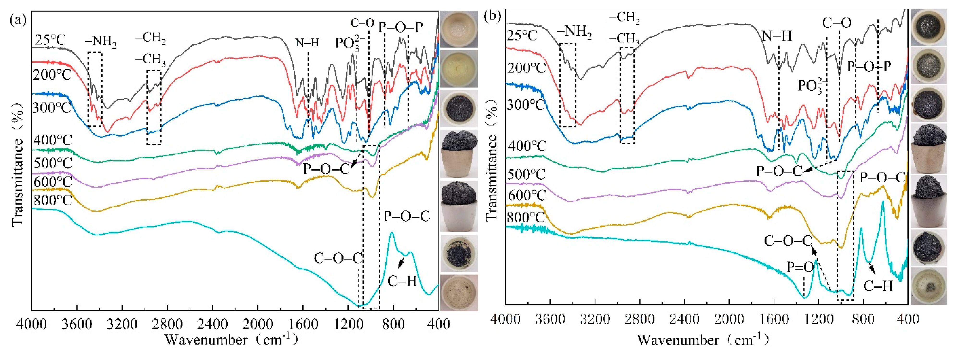 Polymers 14 01540 g019