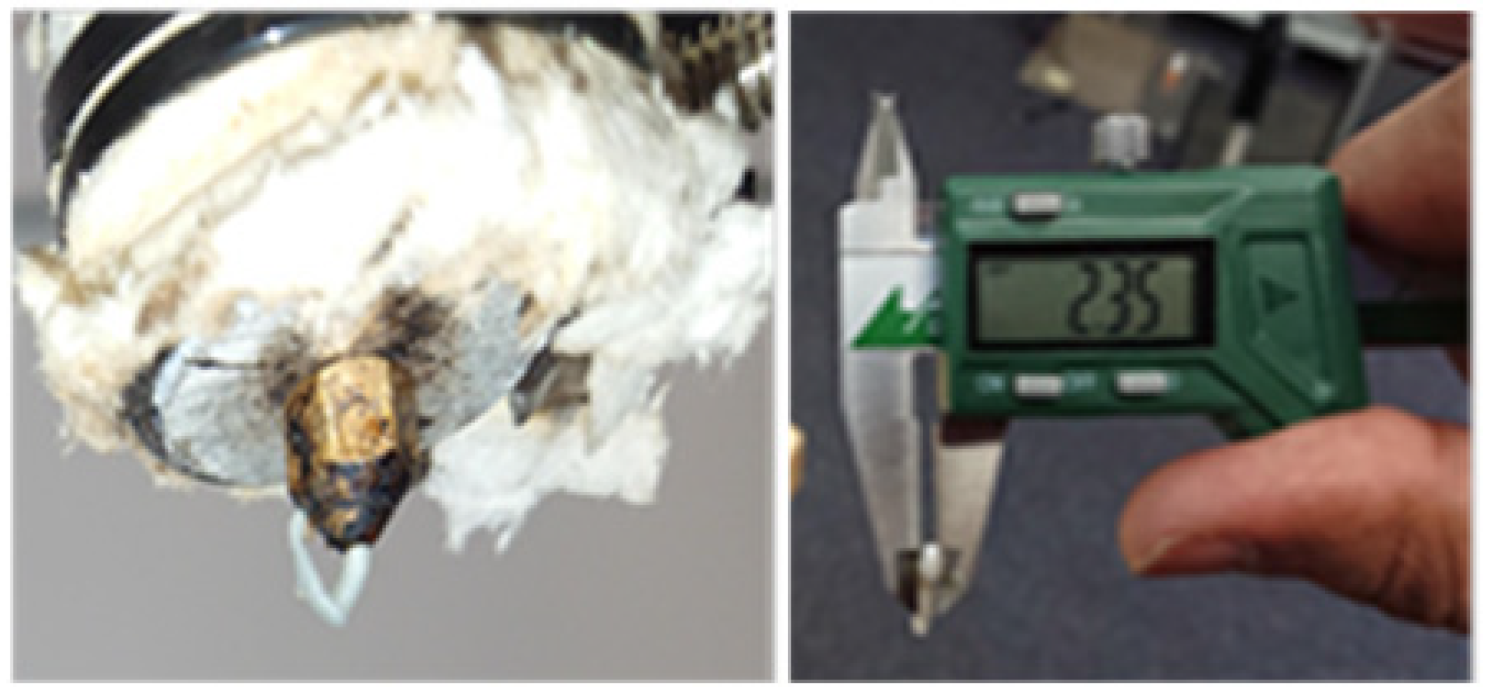 Polymers 14 01541 g001