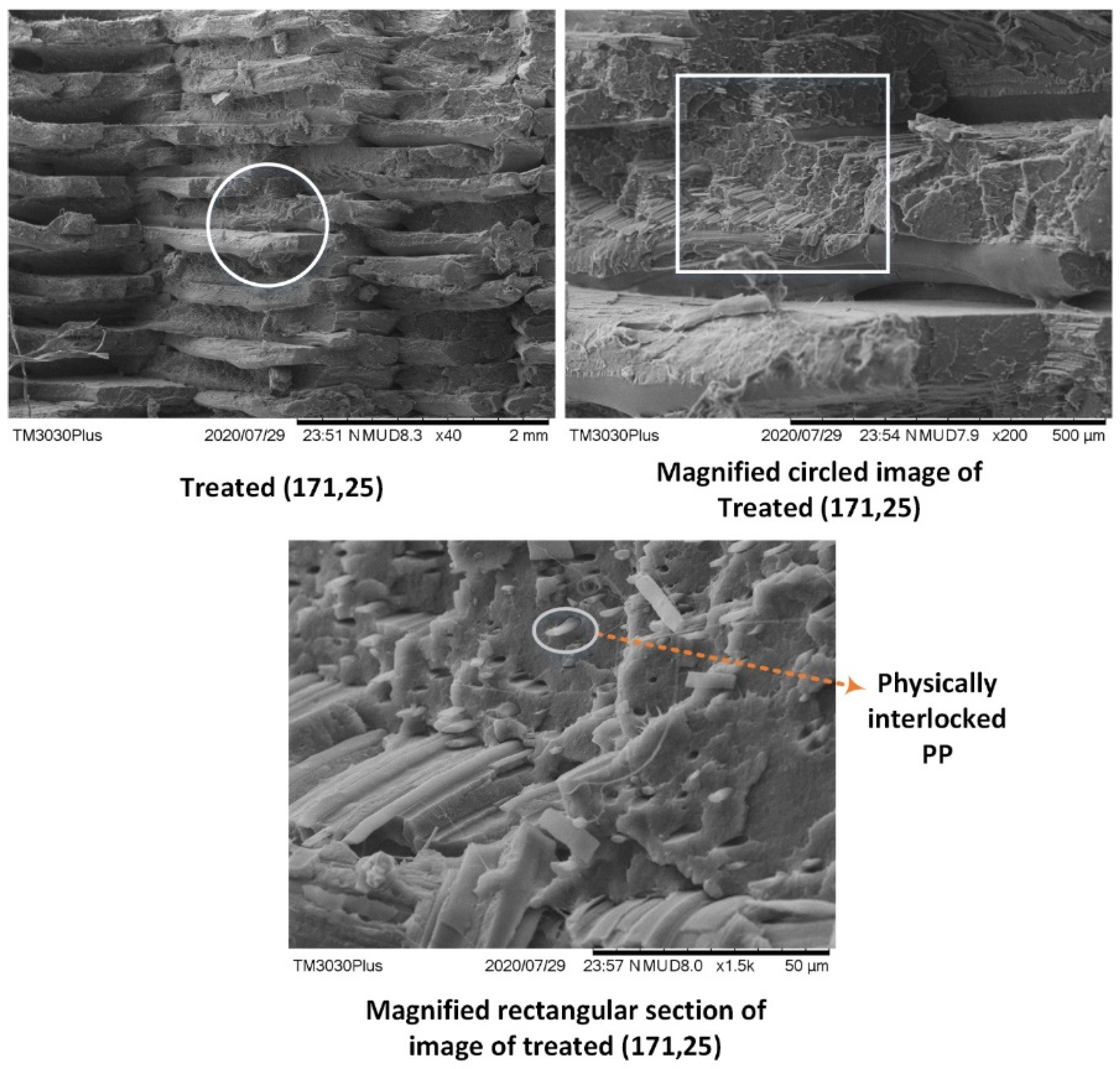 Polymers 14 01541 g008