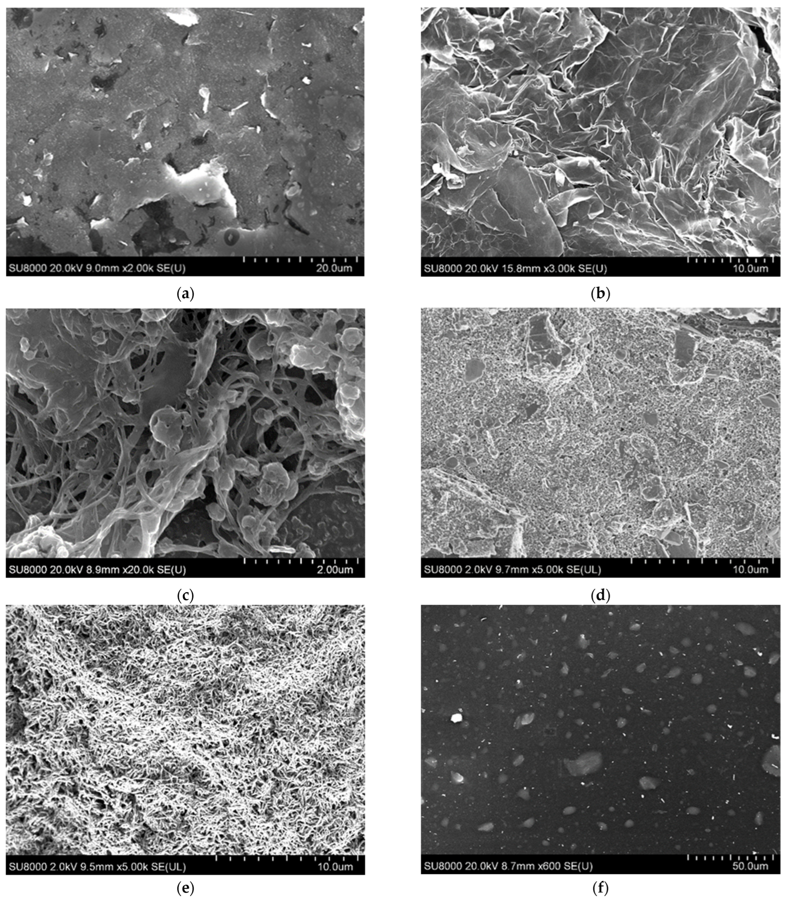 Polymers 14 01543 g004 Polymers 14 01543 g004