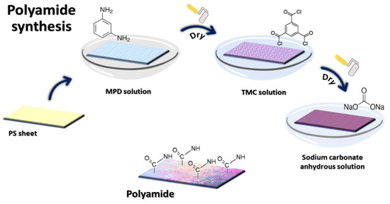 Unfunctionalized and Functionalized Multiwalled Carbon