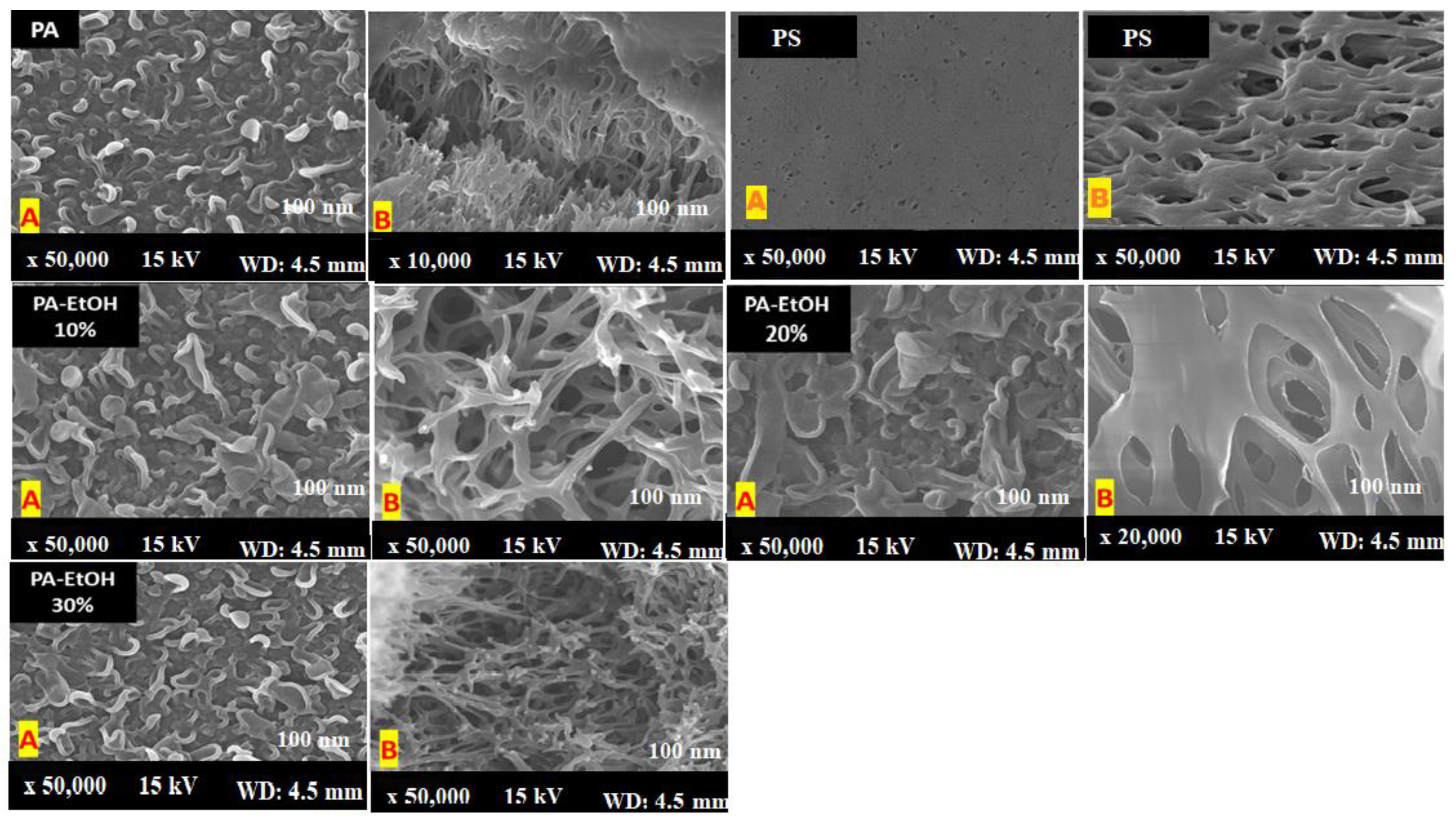 Polymers 14 01544 g009