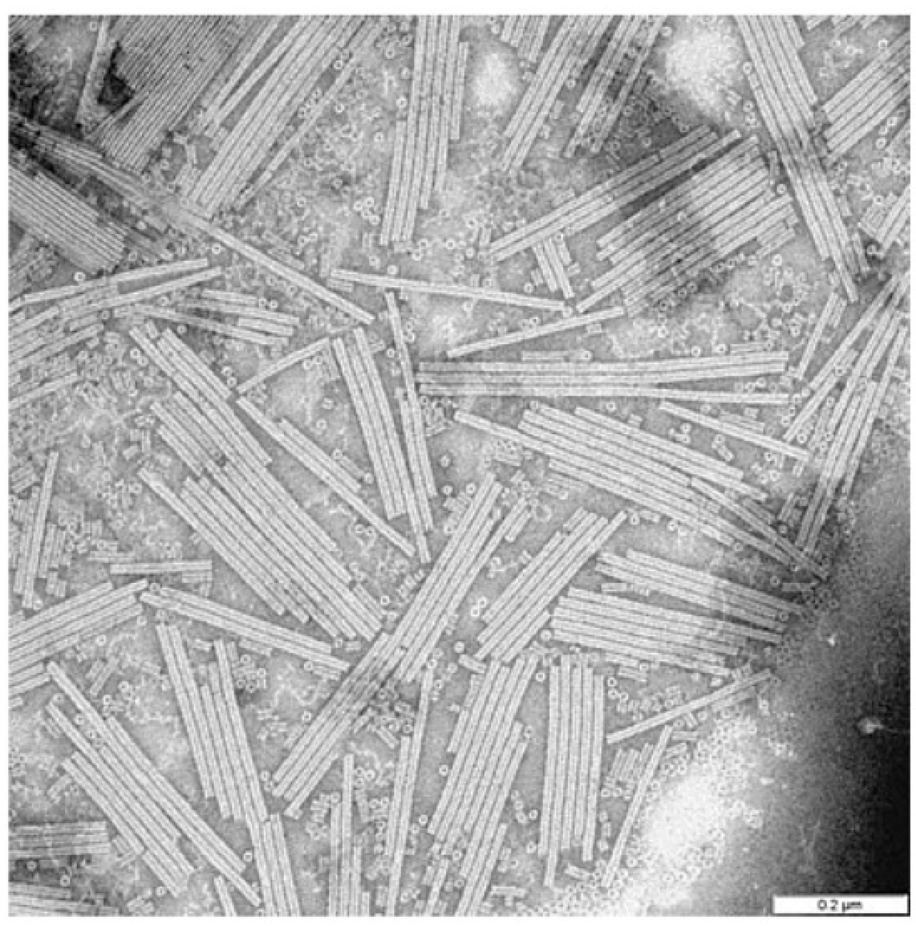 Polymers 14 01546 g007