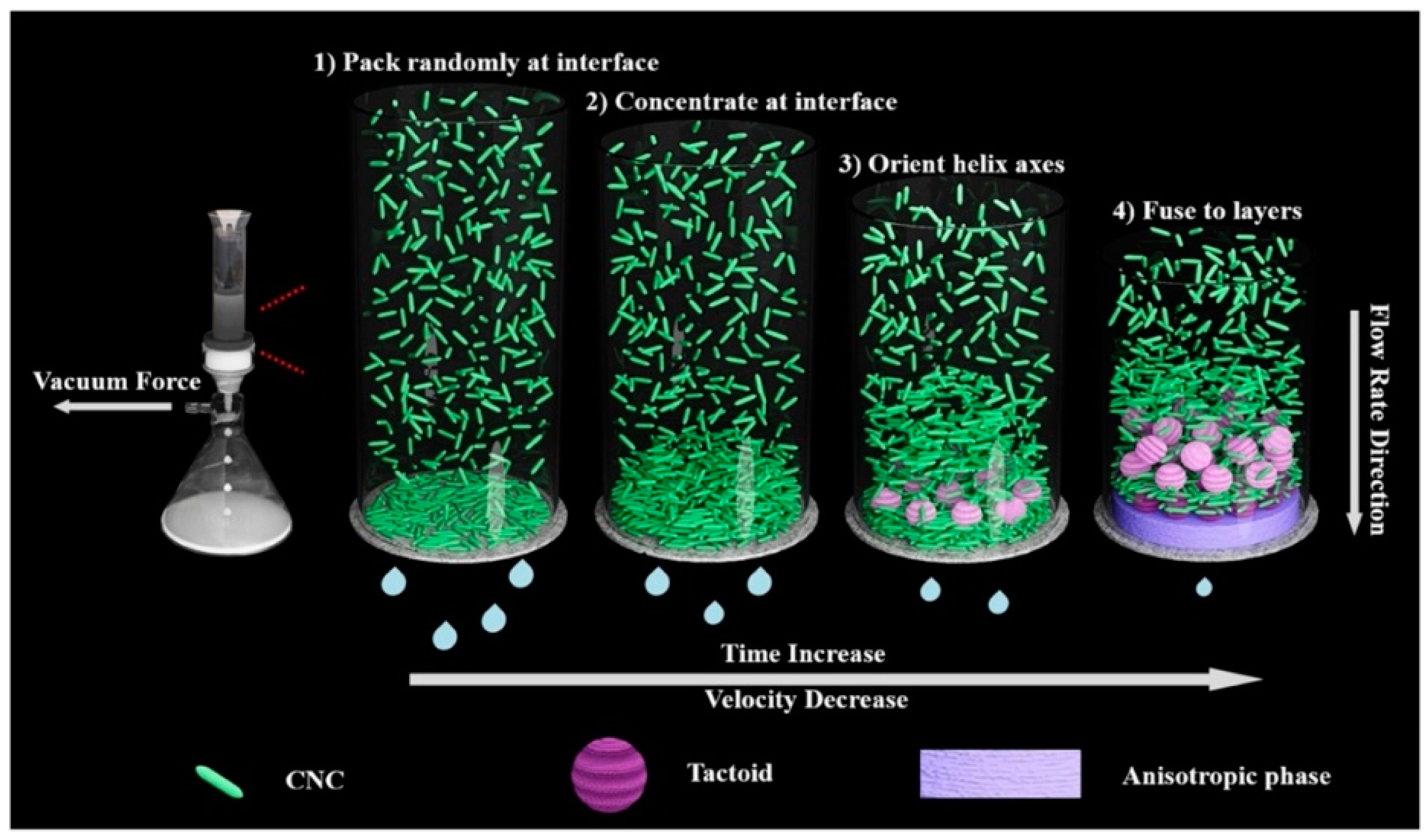 Polymers 14 01546 g009