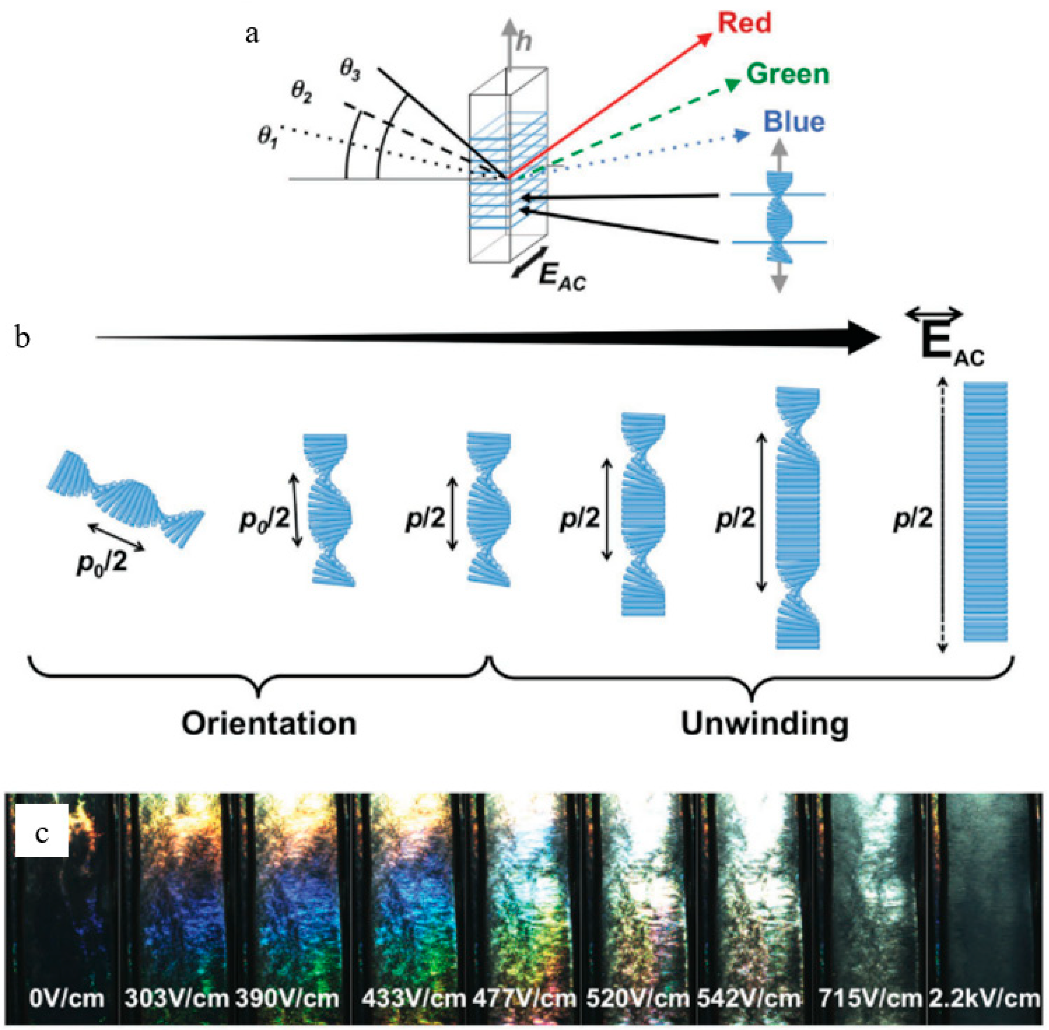 Polymers 14 01546 g014