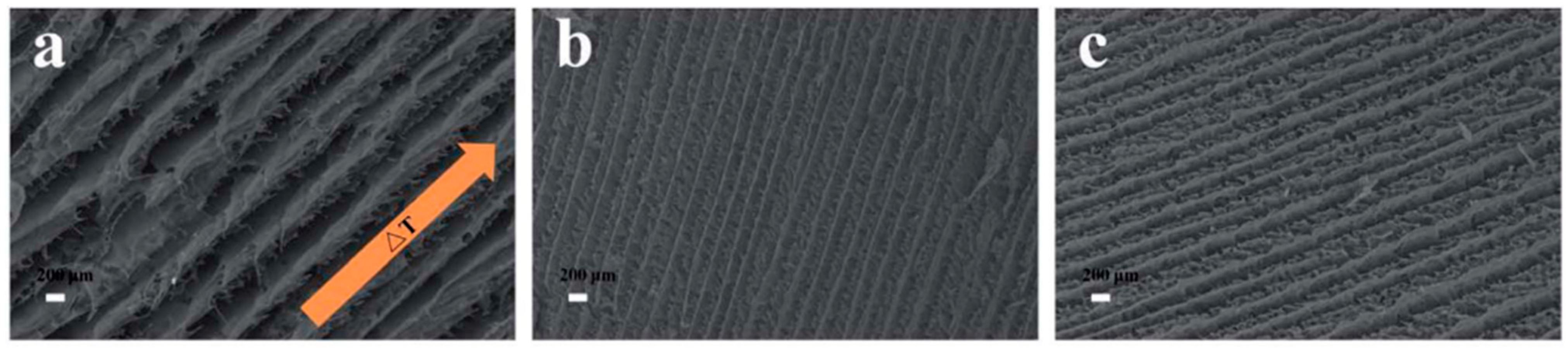 Polymers 14 01546 g020