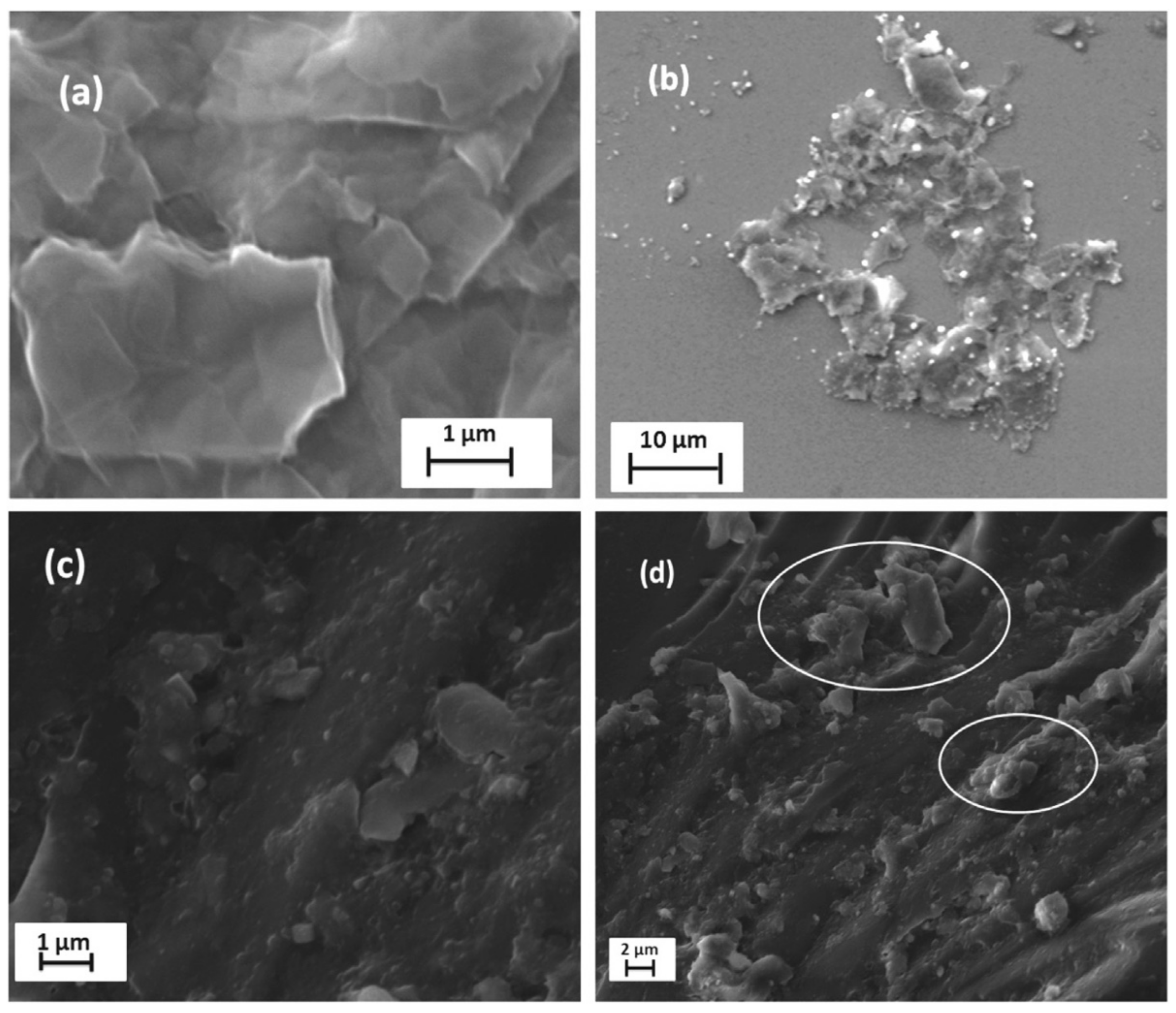 Polymers 14 01548 g007 550