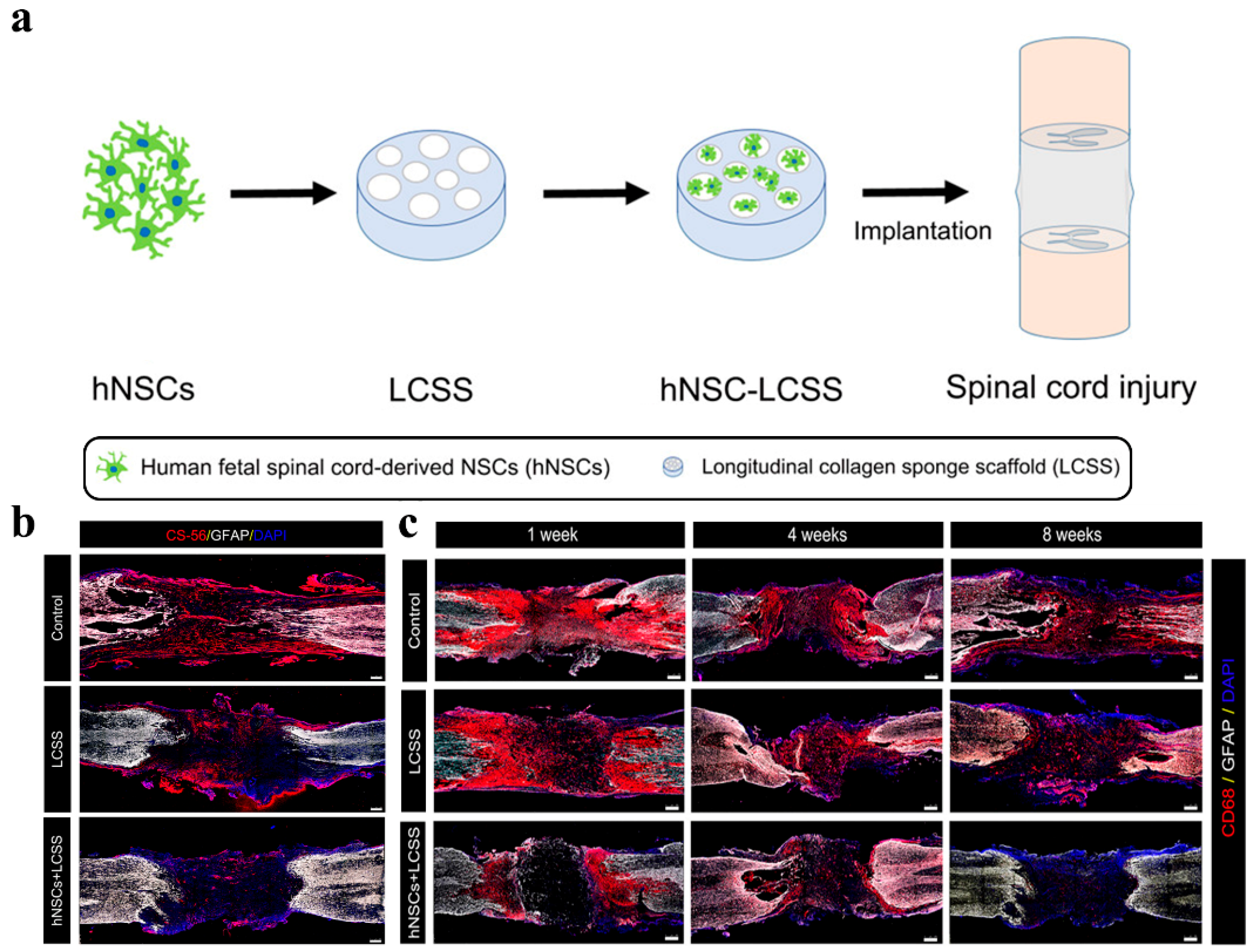 Polymers 14 01549 g003 550
