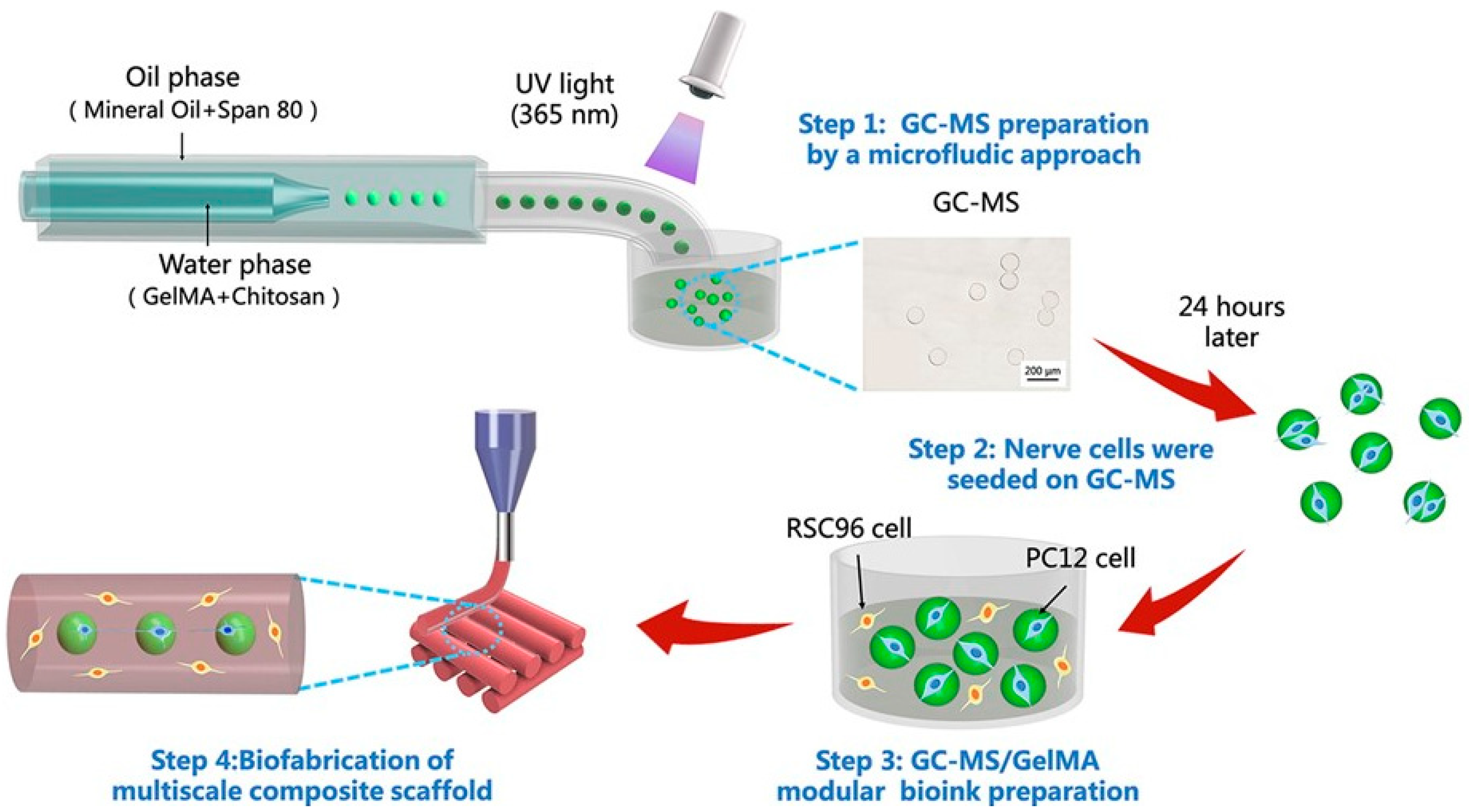 Polymers Free Full Text Design And Fabrication Of Polymeric Hydrogel Carrier For Nerve Repair Html